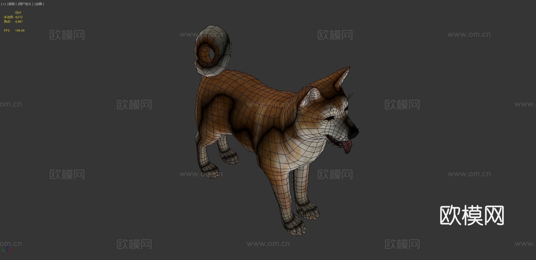犬-秋田犬3d模型