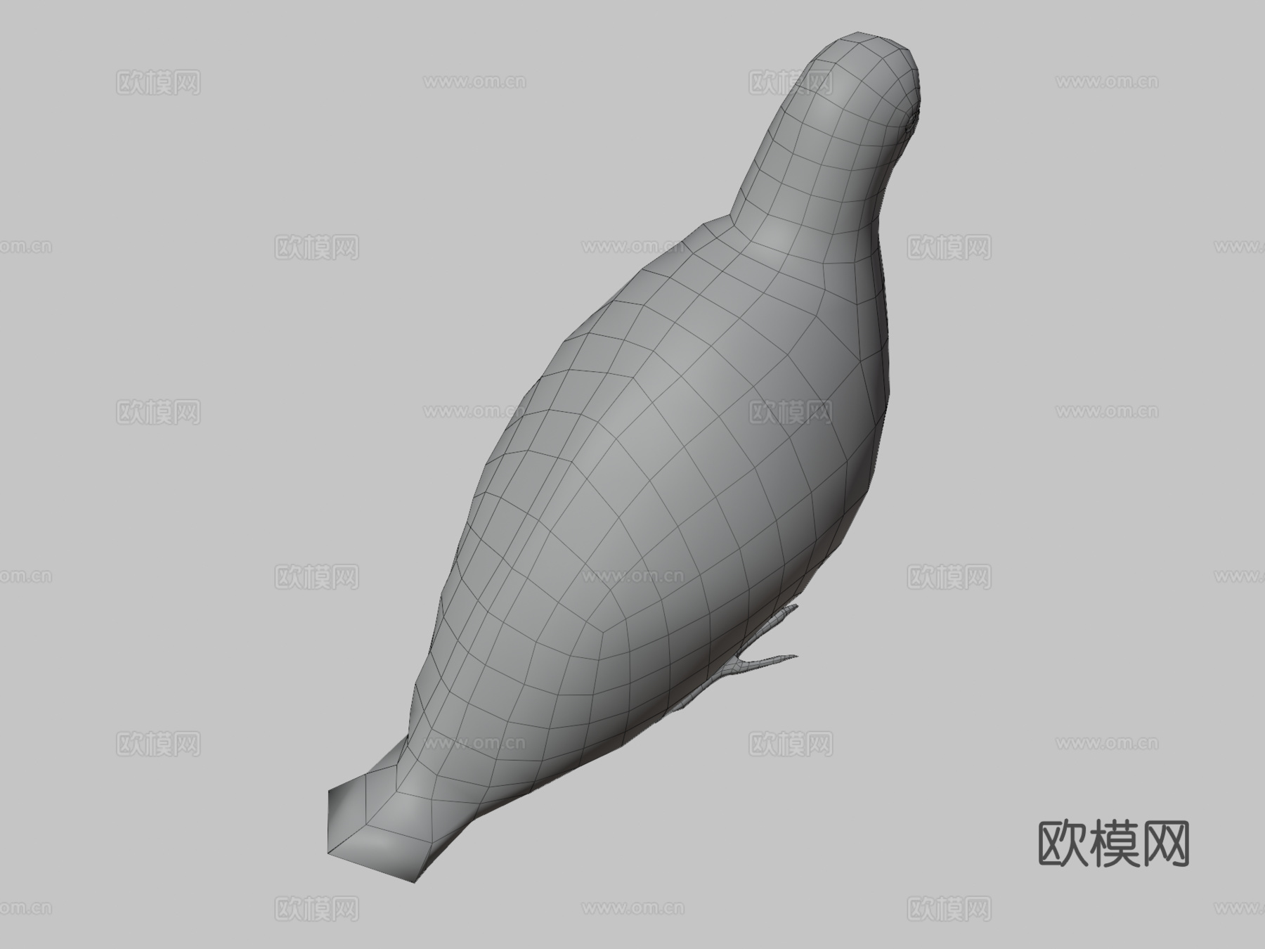 鸽子-3D模型-3d模型