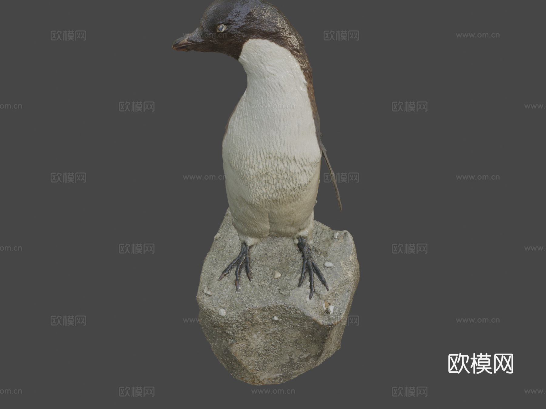阿德利企鹅3d模型