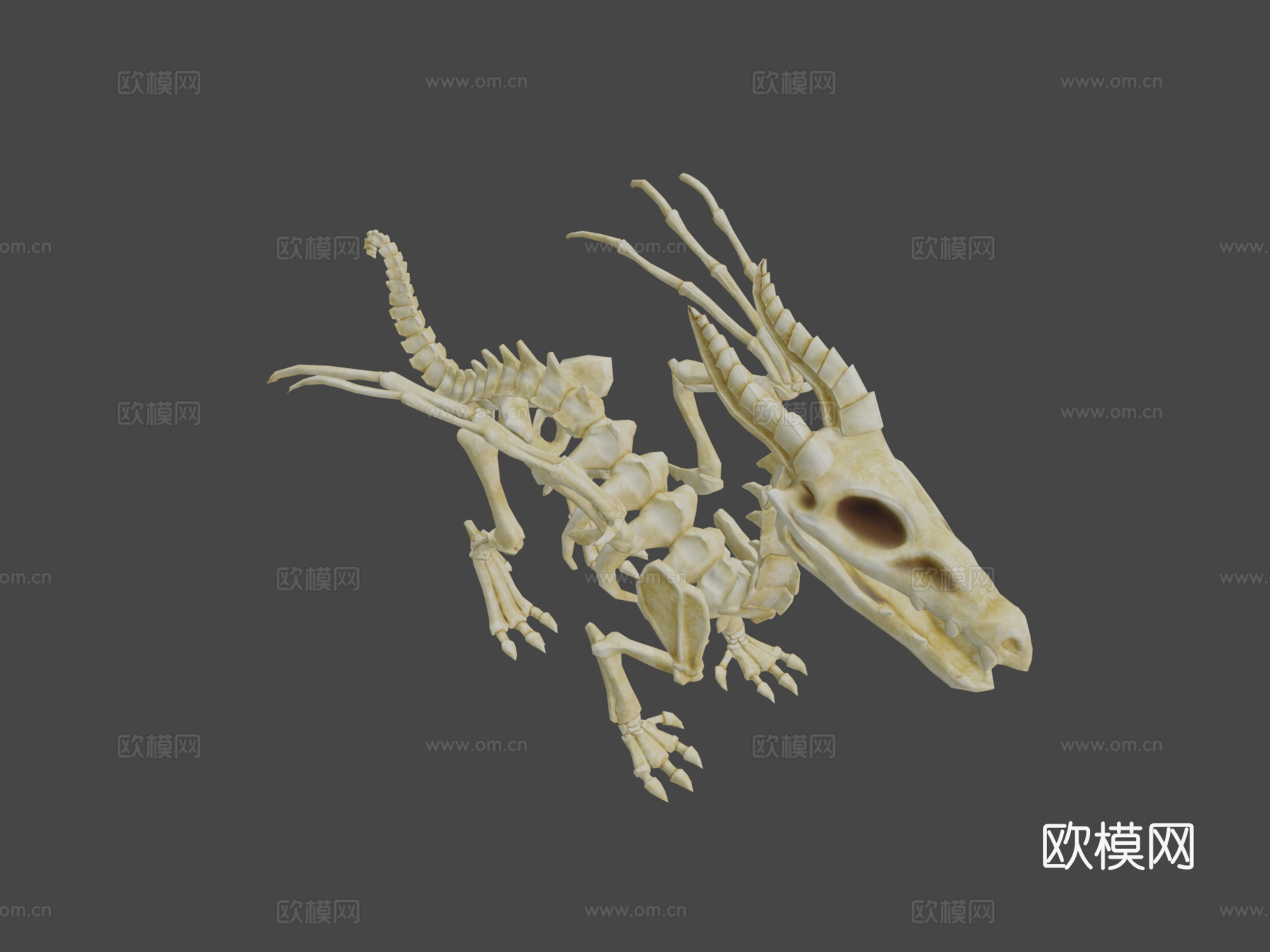 龙骨架3d模型