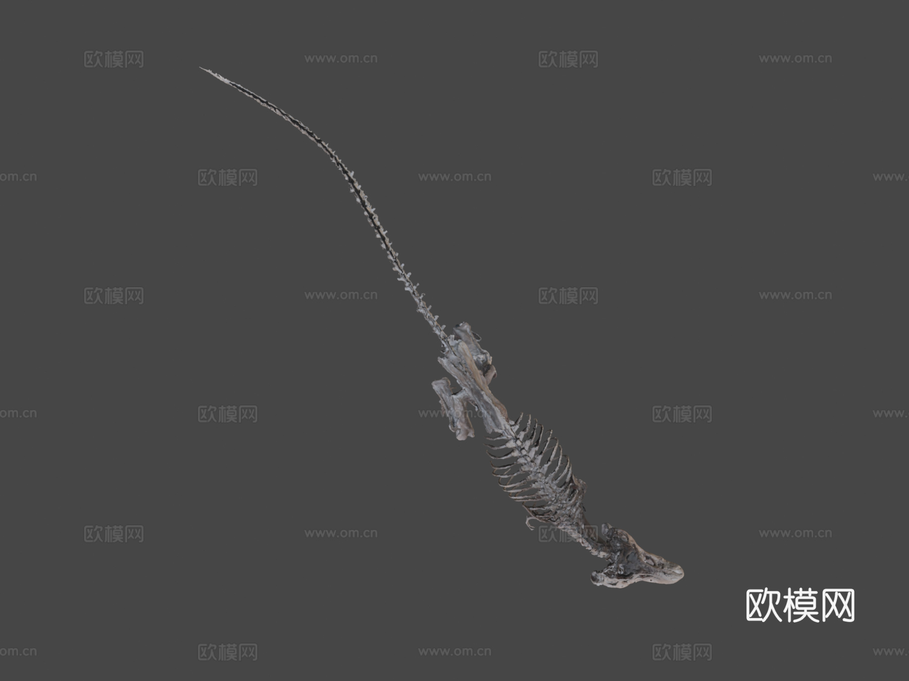 霸王龙3d模型