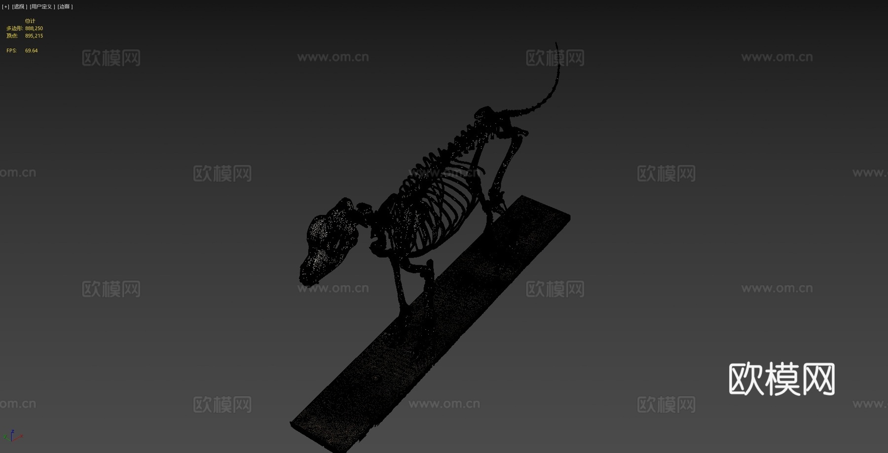 狗骨架-四肢标注3d模型