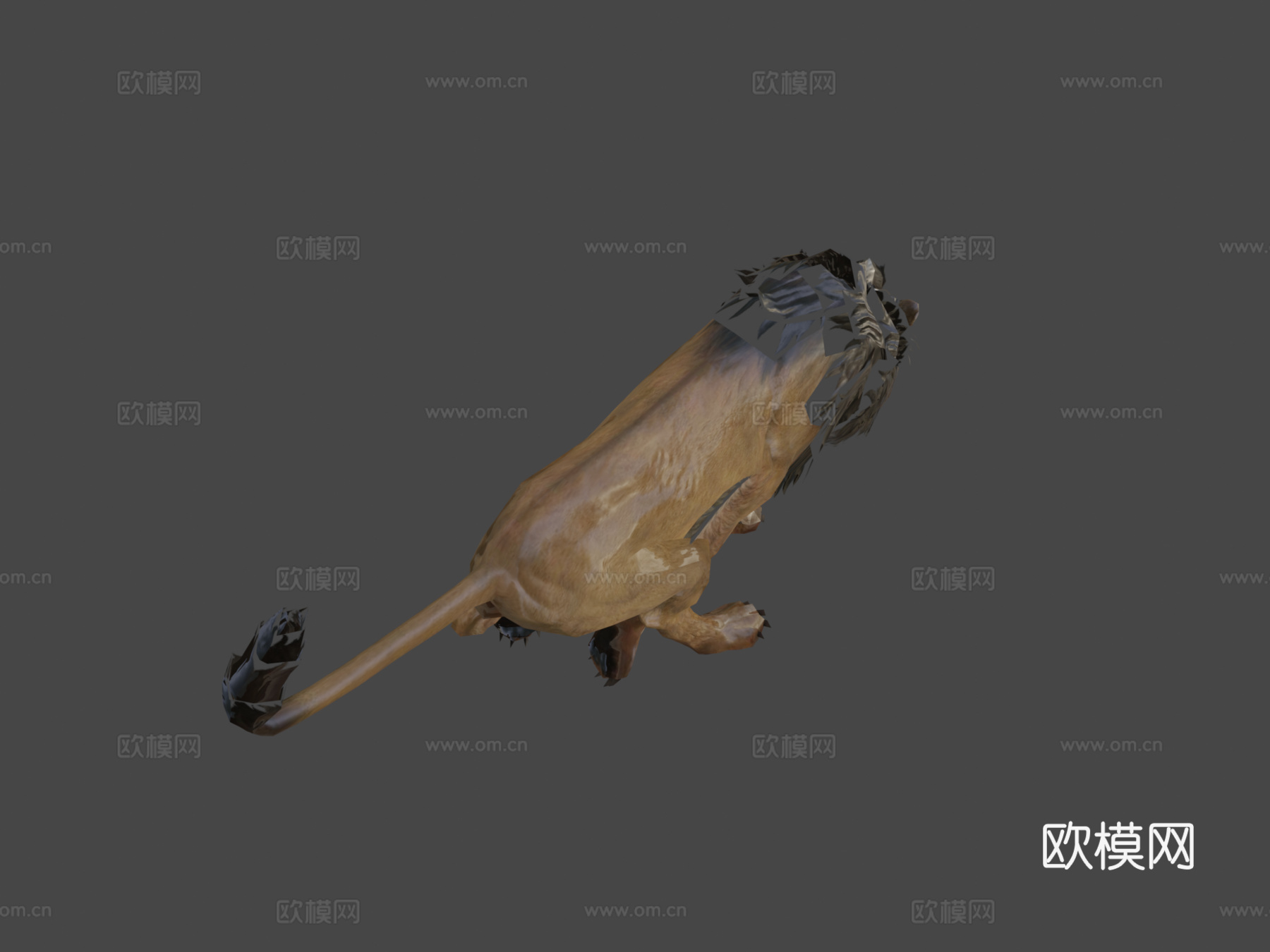 狮子3d模型