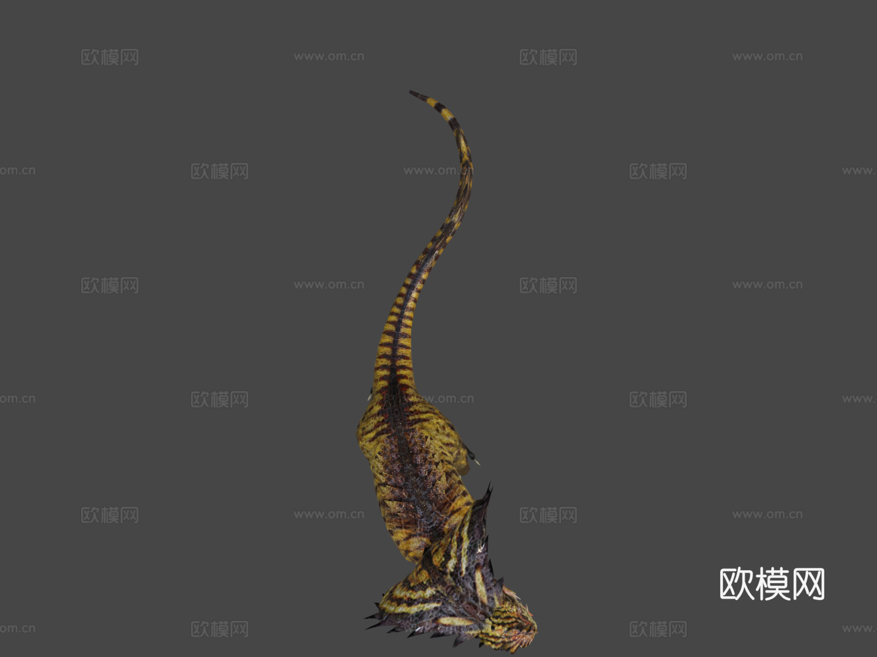 眼镜蛇龙3d模型