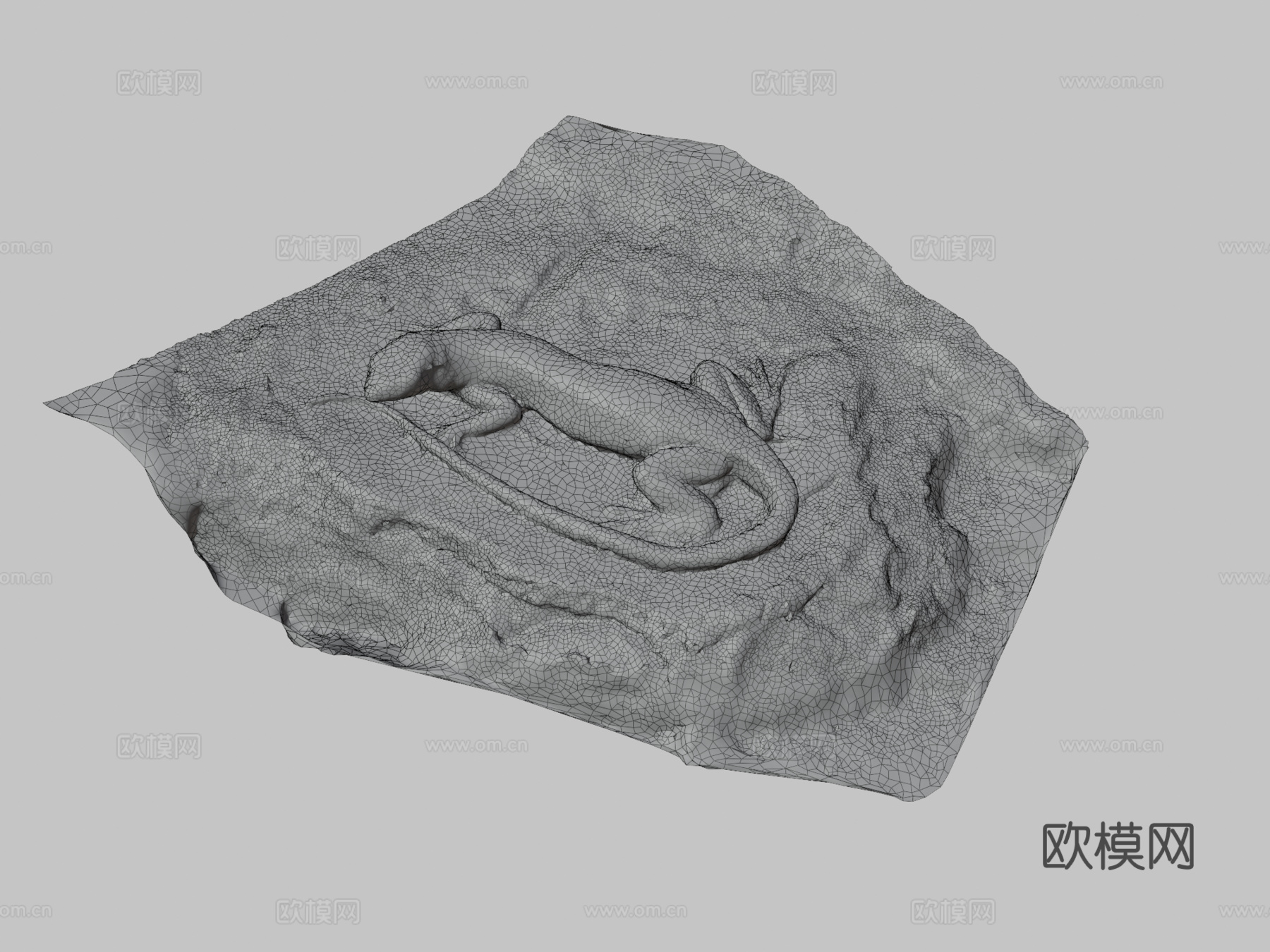 蜥蜴3d模型