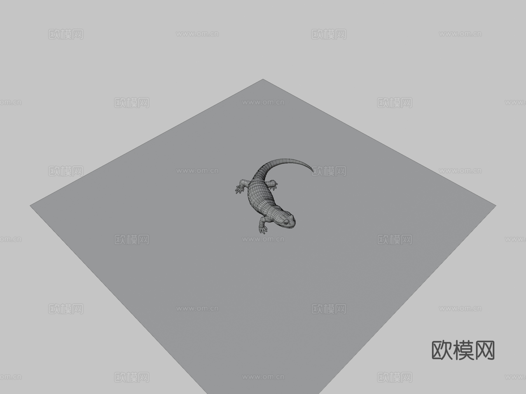 火蝾螈 - 萨拉曼德拉蝾螈3d模型