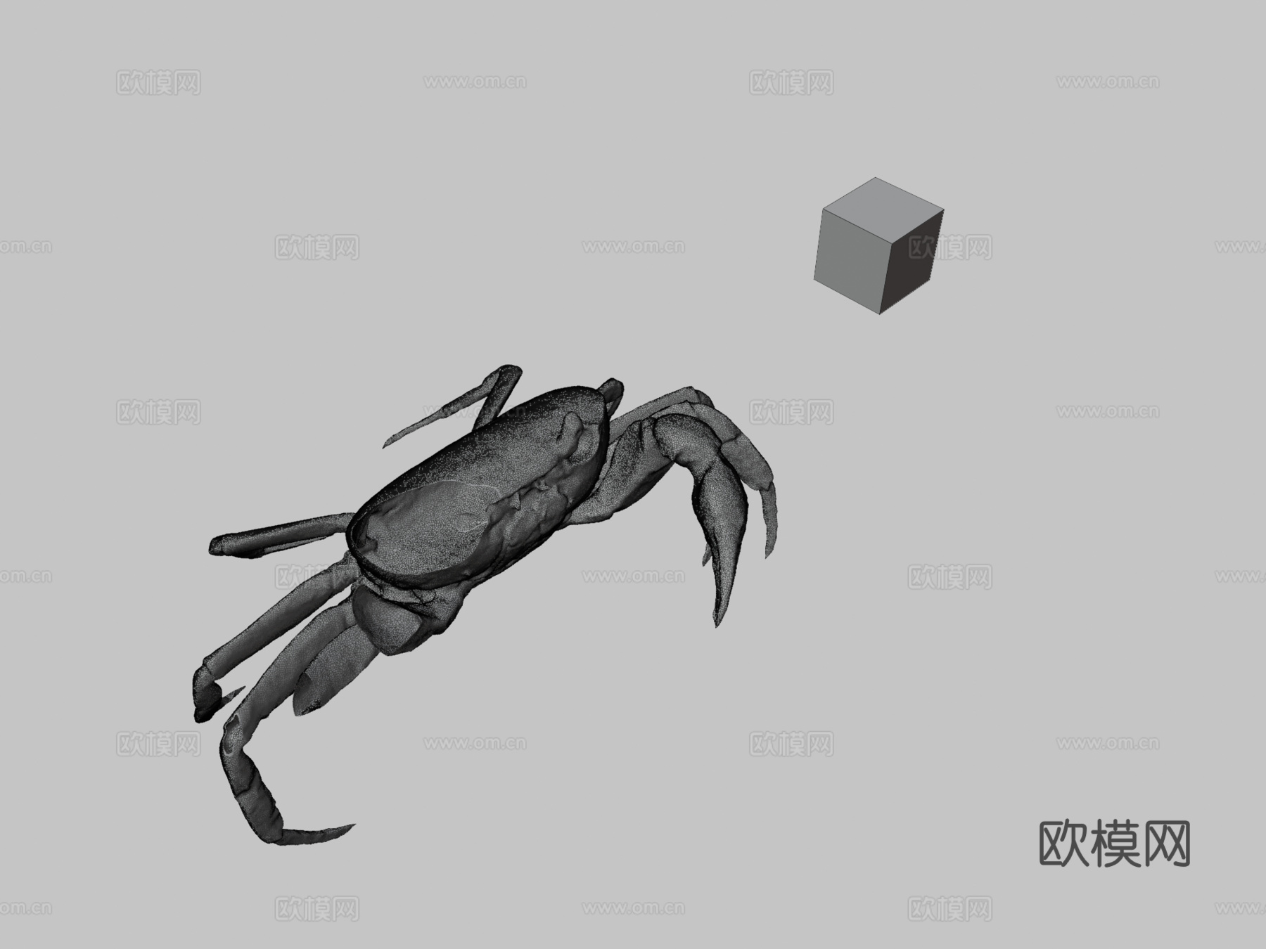 CC0日本淡水蟹♂3d模型