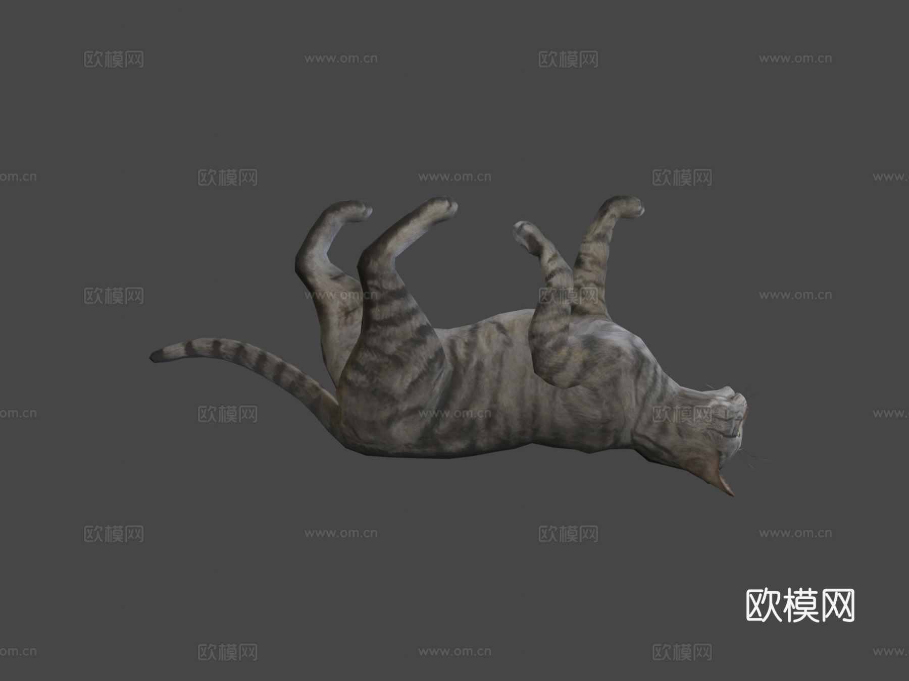 猫-行走动画3d模型