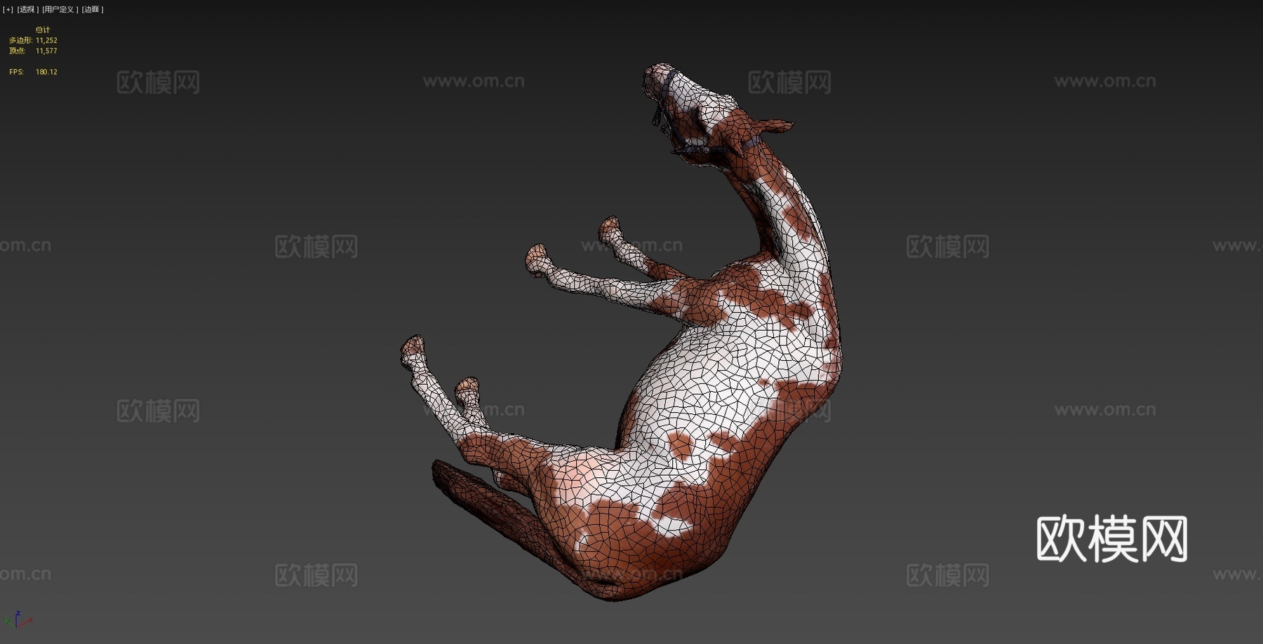 马 - 姿势43d模型