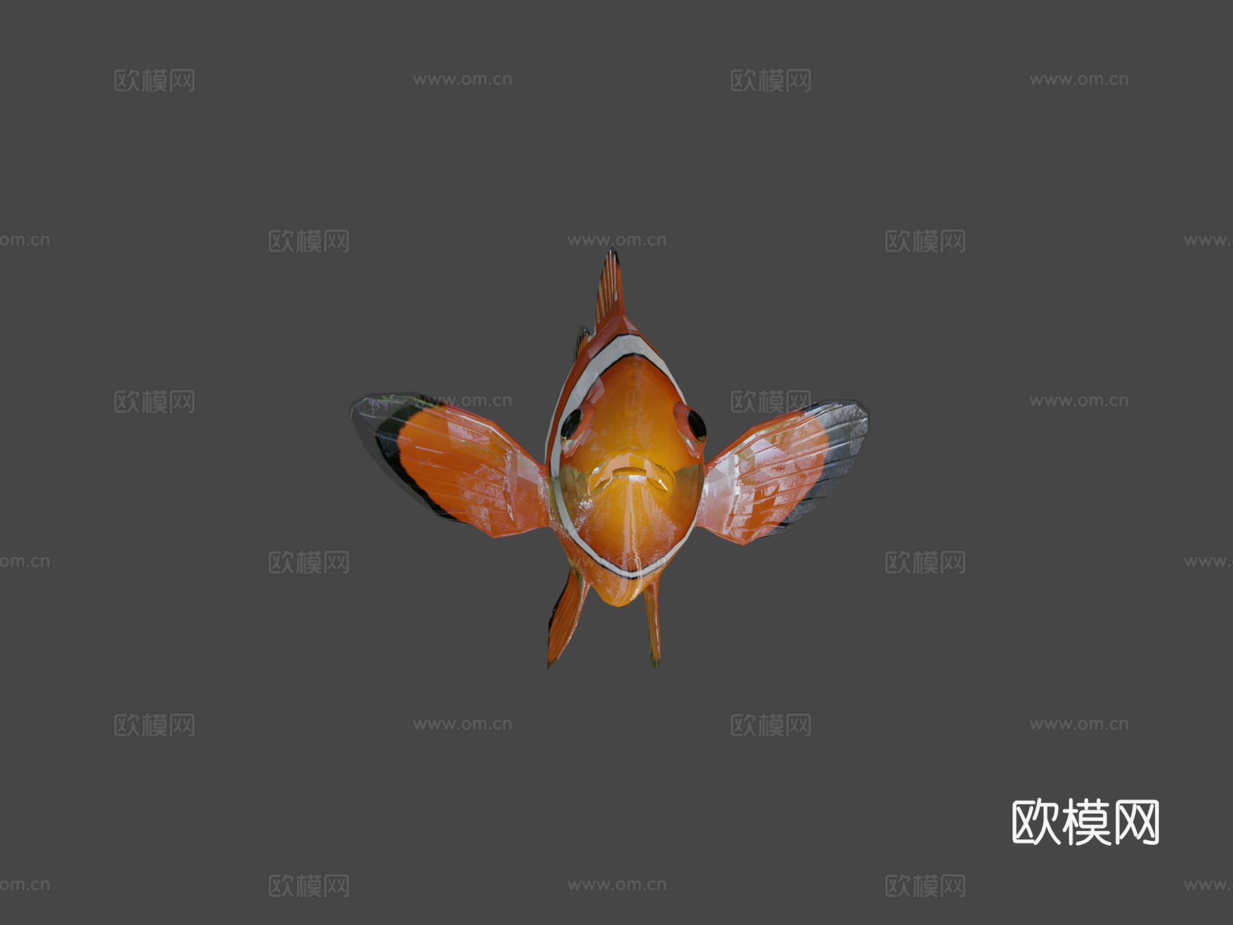 海葵鱼小丑鱼绑定3d模型