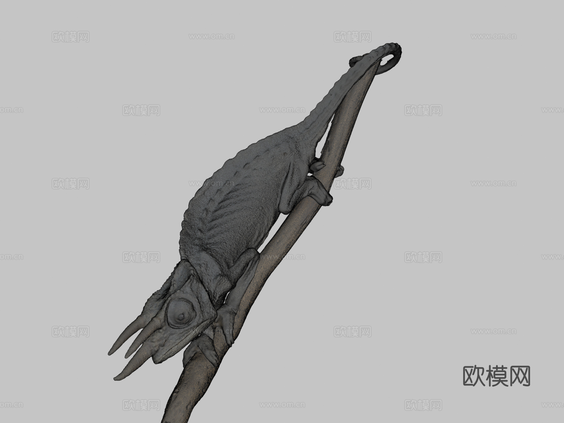 杰克逊变色龙3d模型
