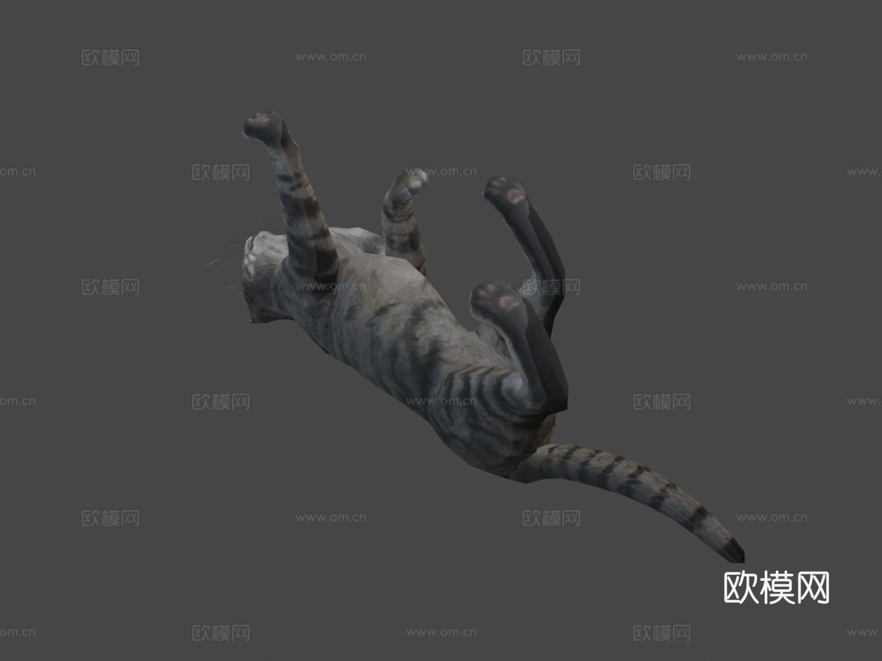 猫-行走动画3d模型