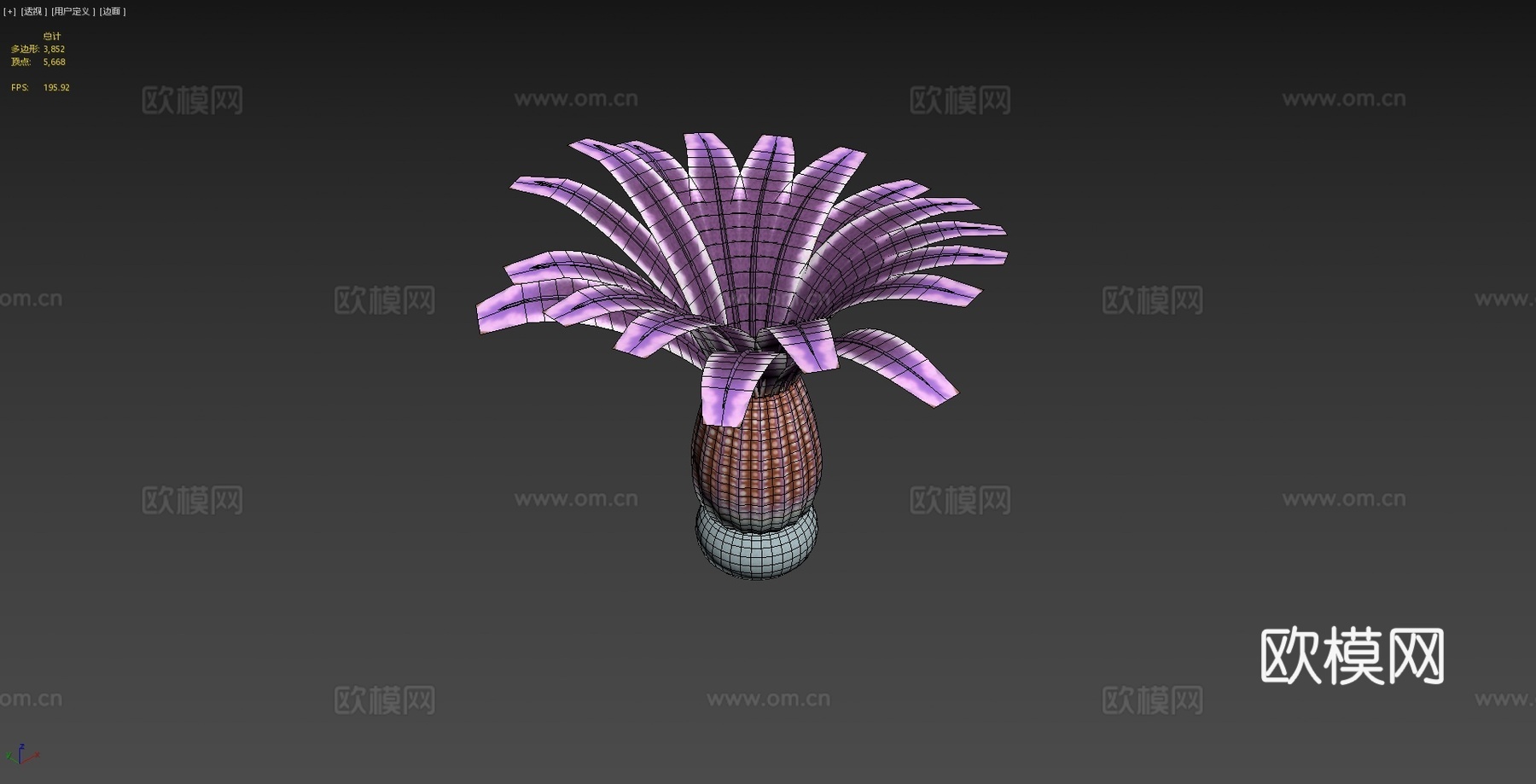 中华仙光鱼3d模型