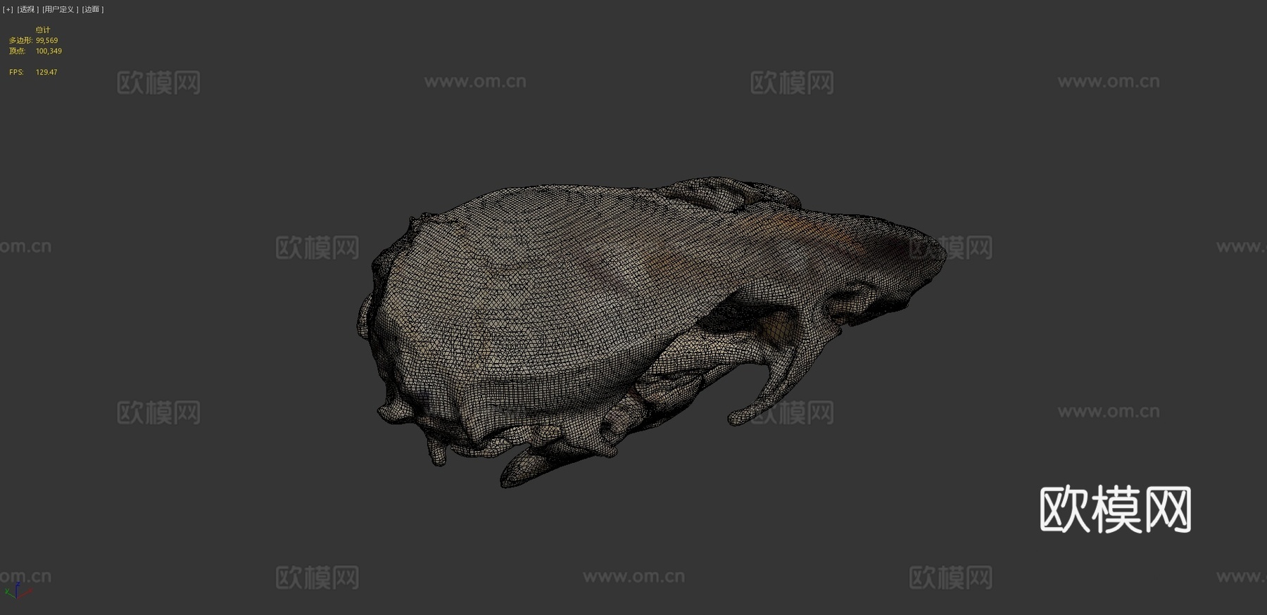 老鼠头骨3d模型