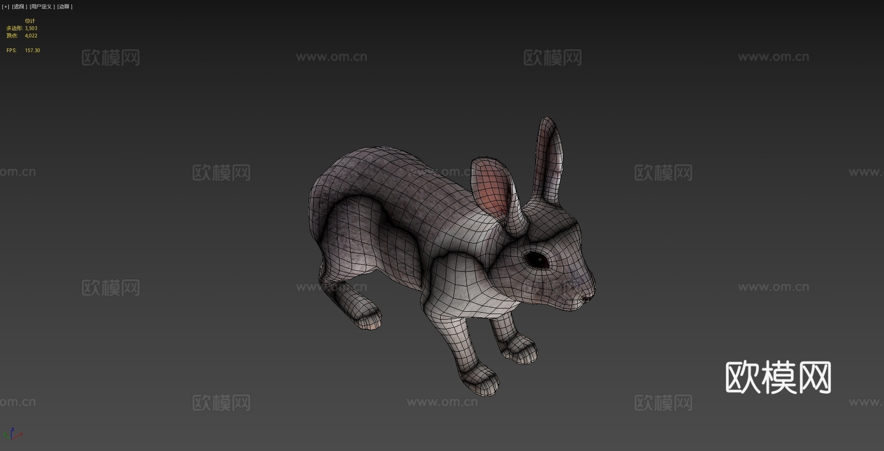兔子动画3d模型