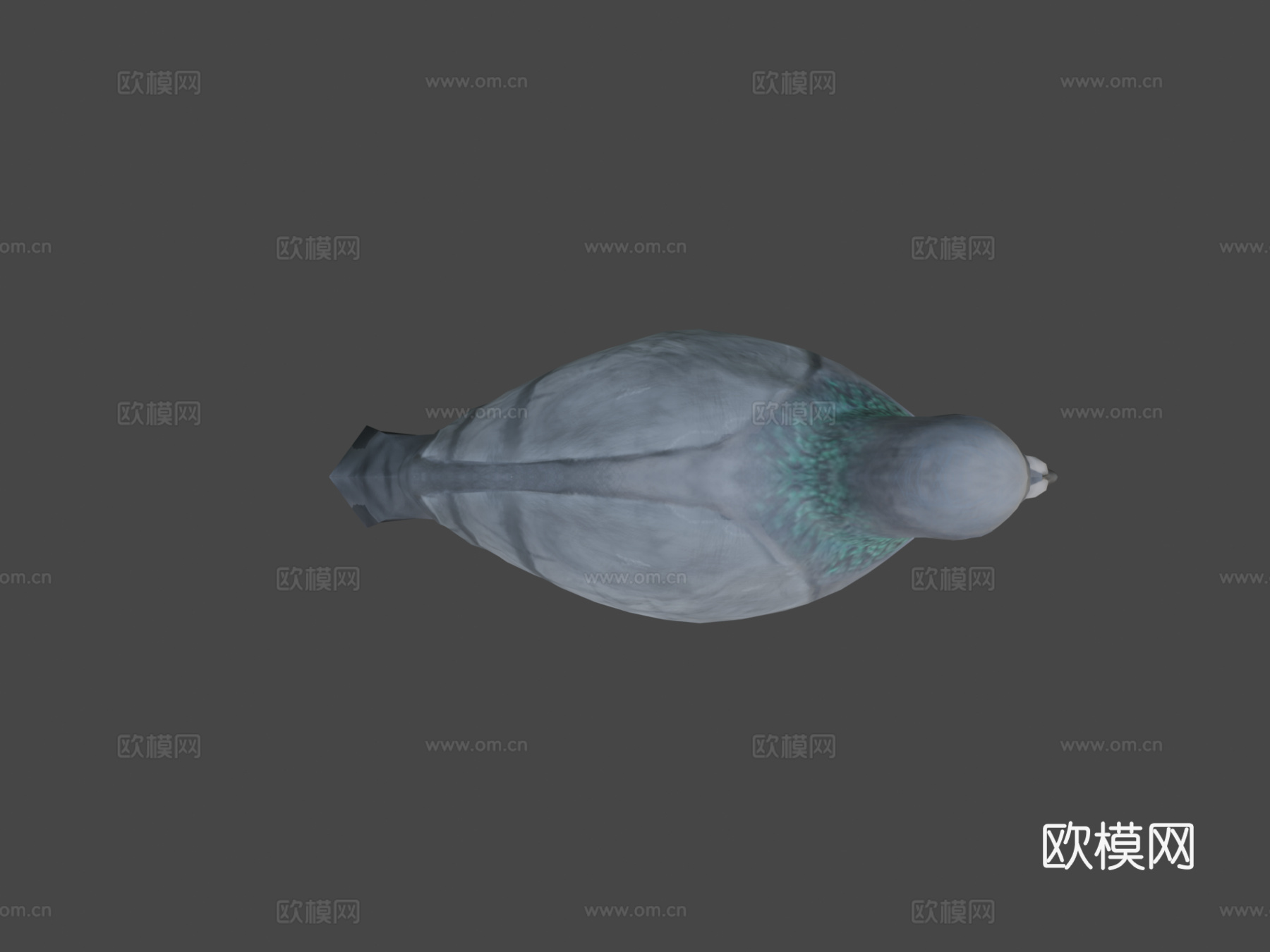 鸽子-3D模型-3d模型