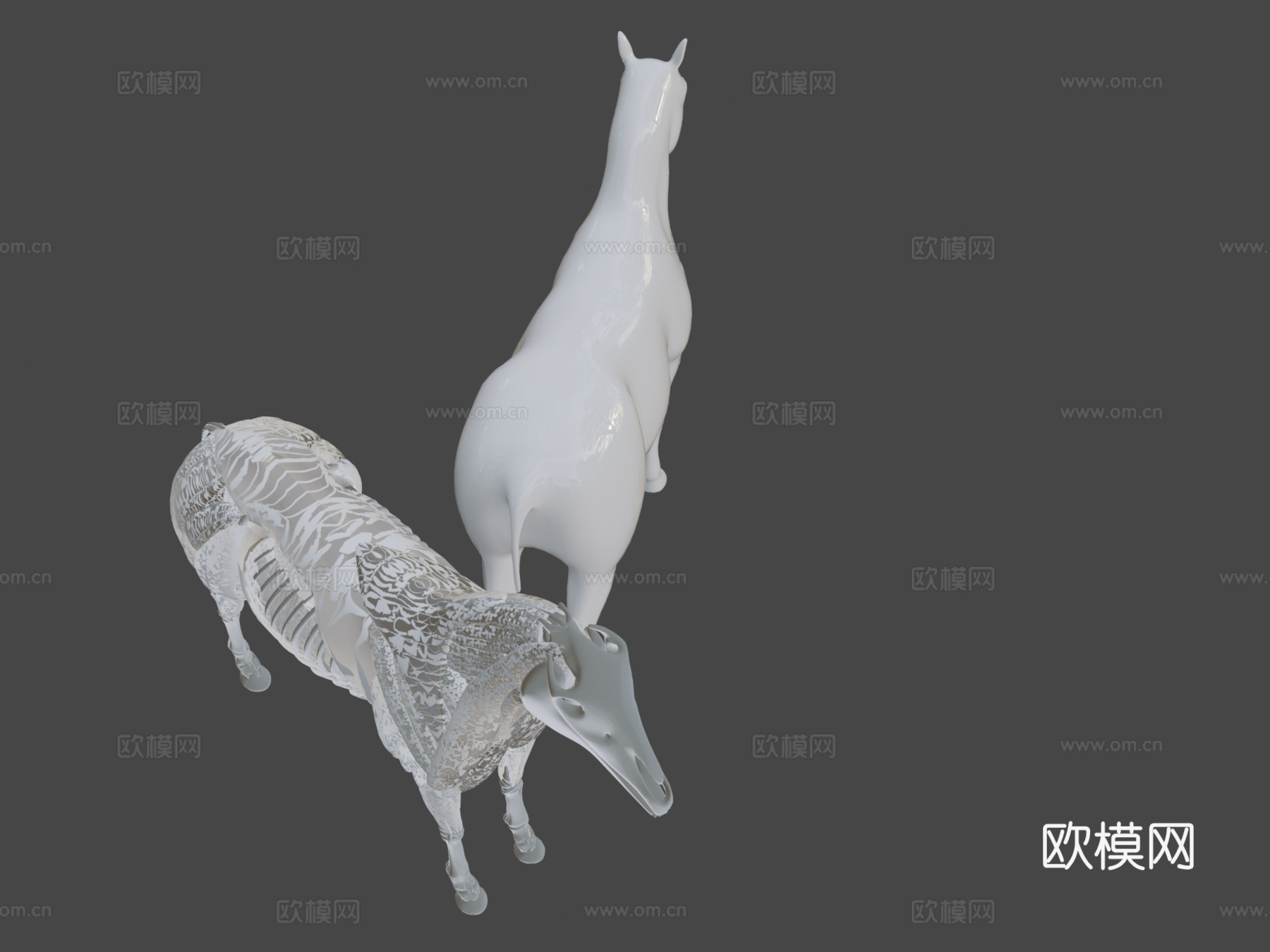 马解剖模型3d模型