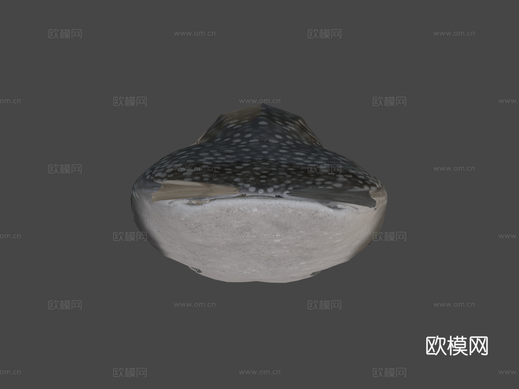 鲸鲨3d模型