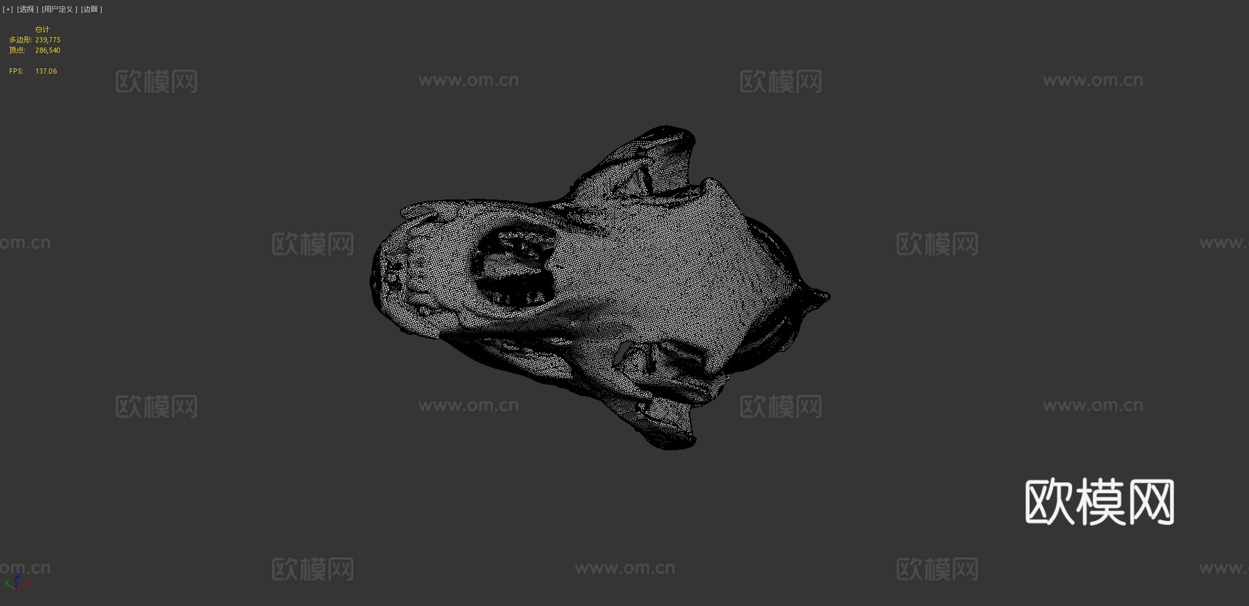 灰熊头骨标本9号3d模型
