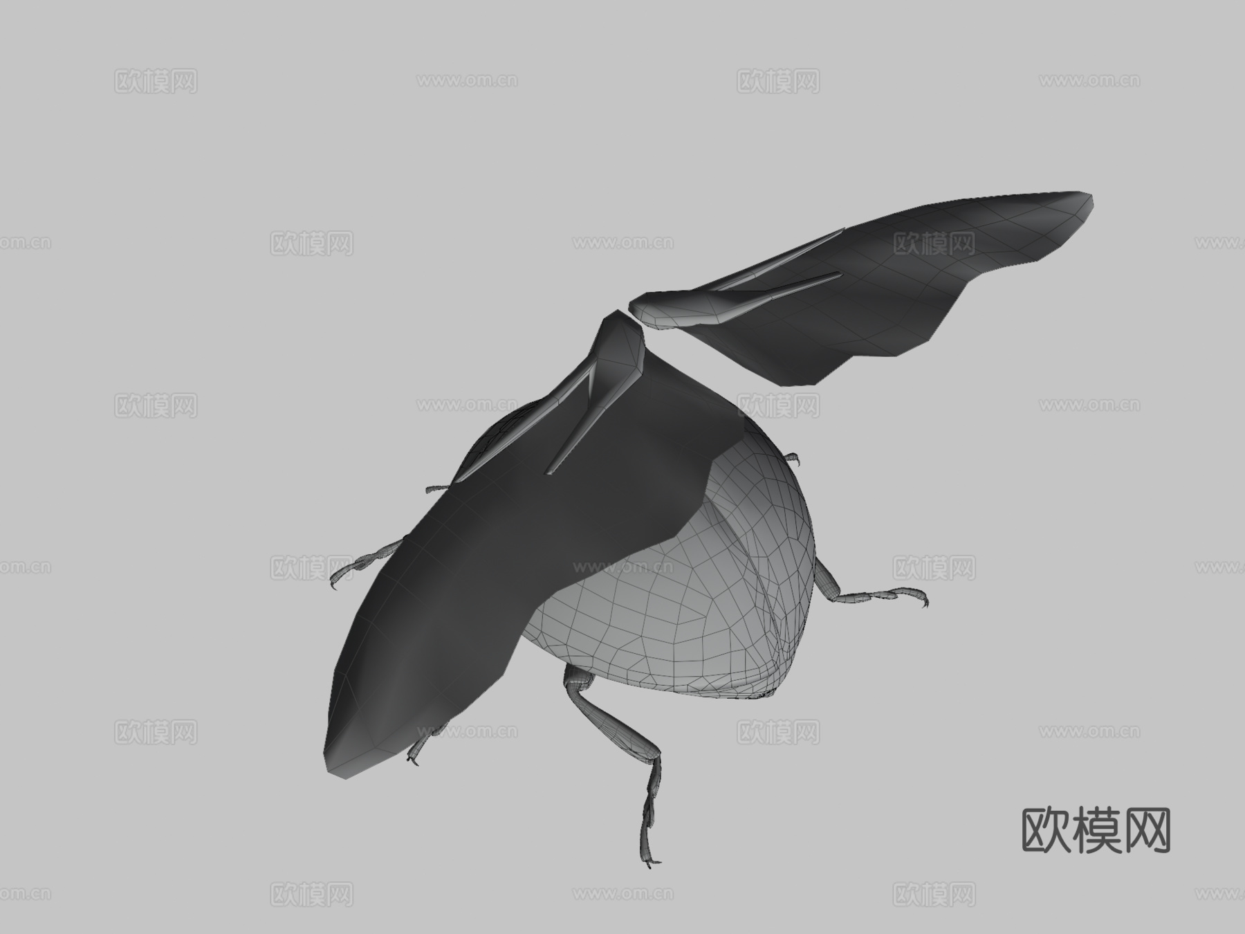 七星瓢虫林奈3d模型