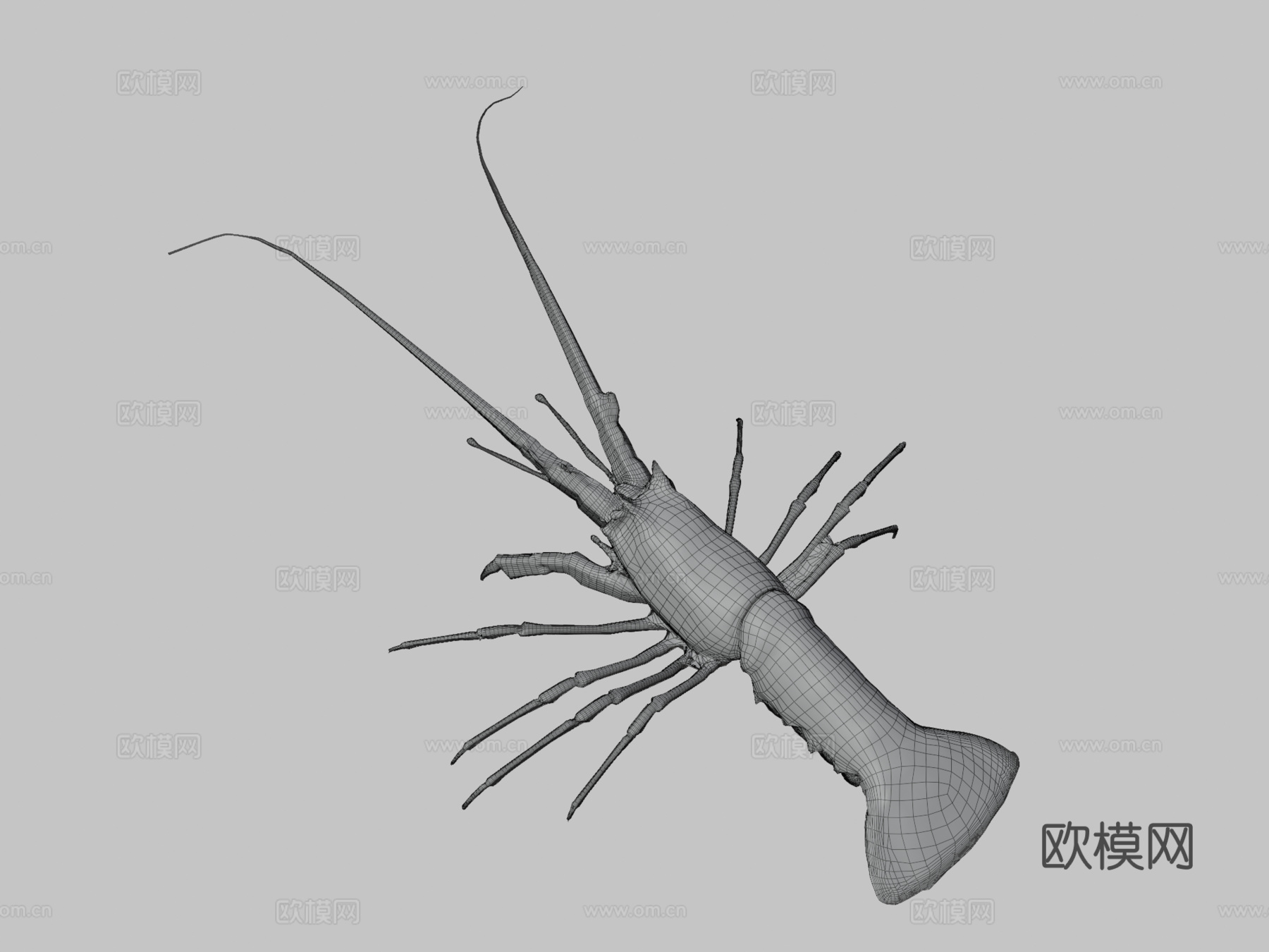 龙虾3d模型