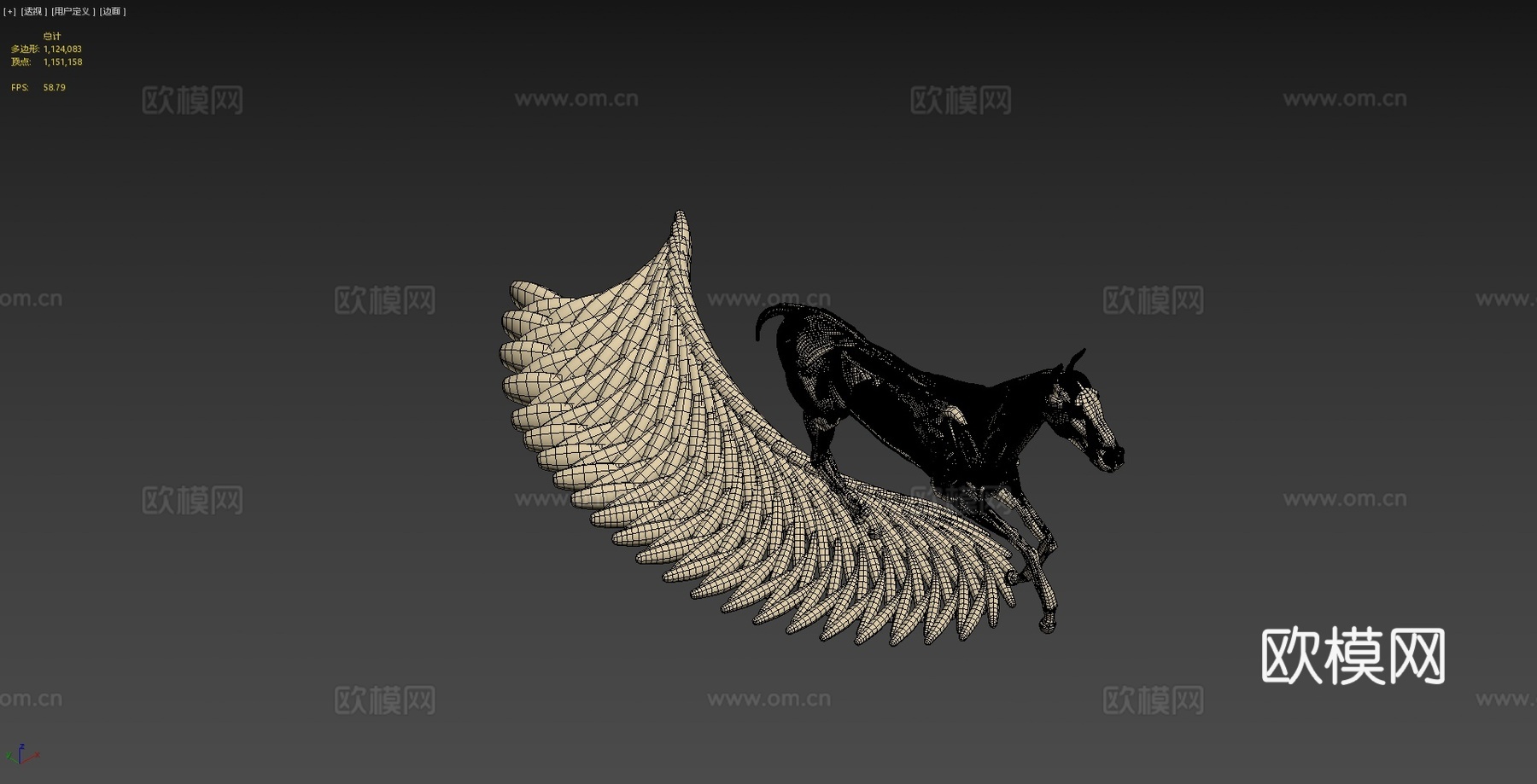 奔跑马解剖3d模型