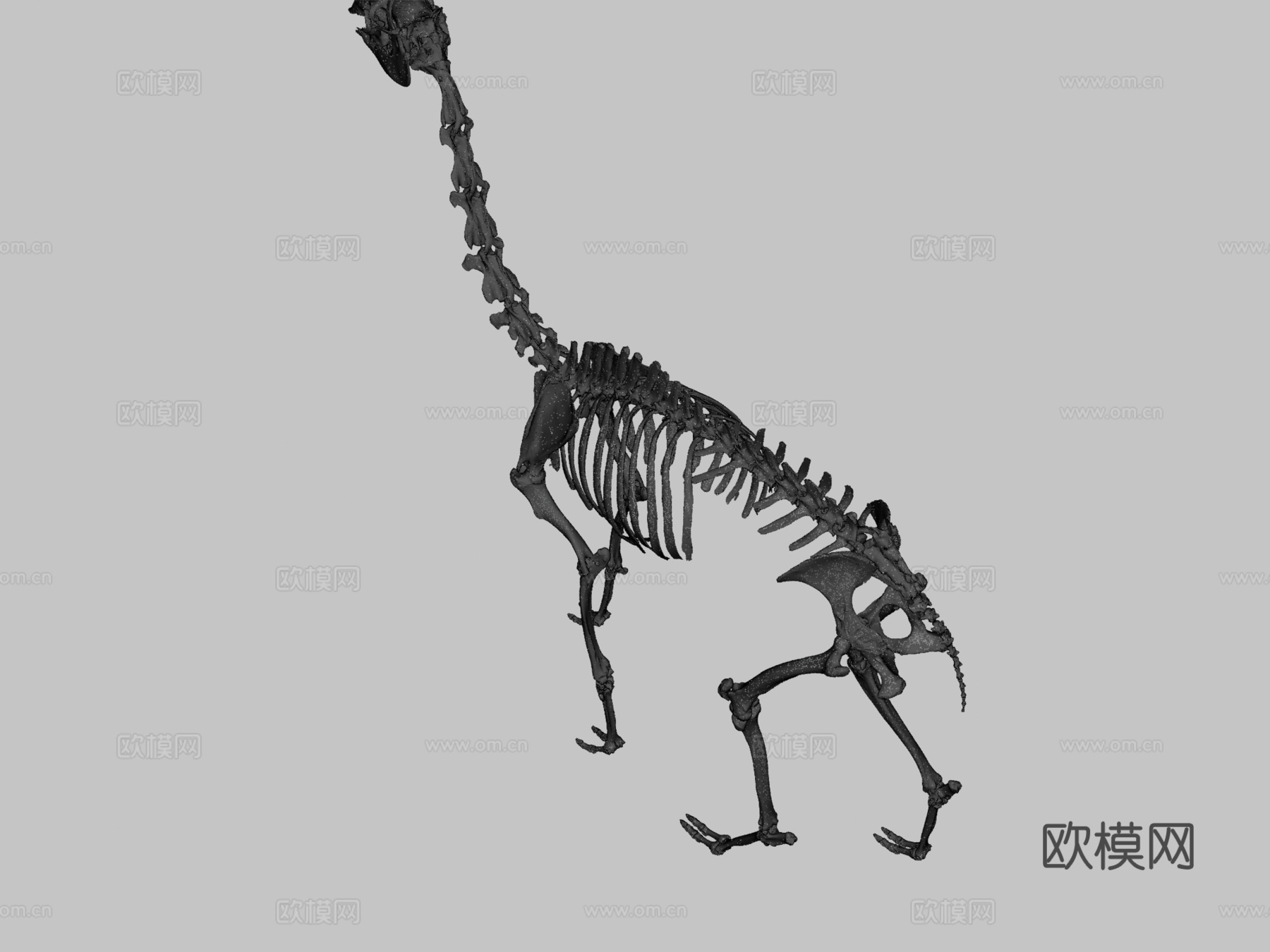大羊驼3d模型