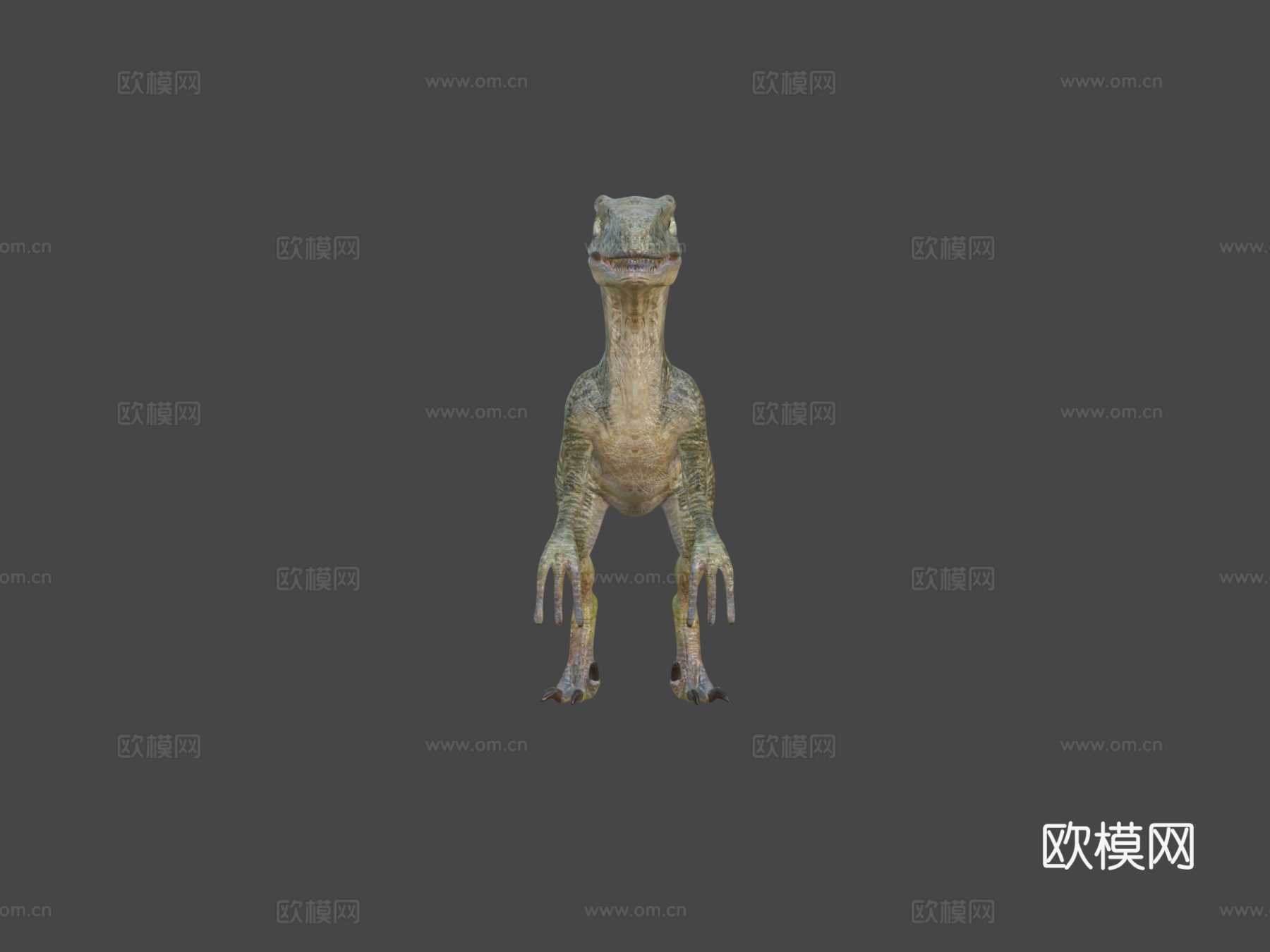 迅猛龙绑定3D模型3d模型