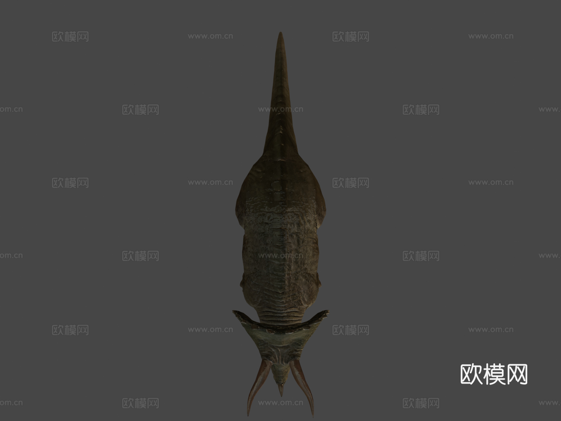 三角龙3d模型