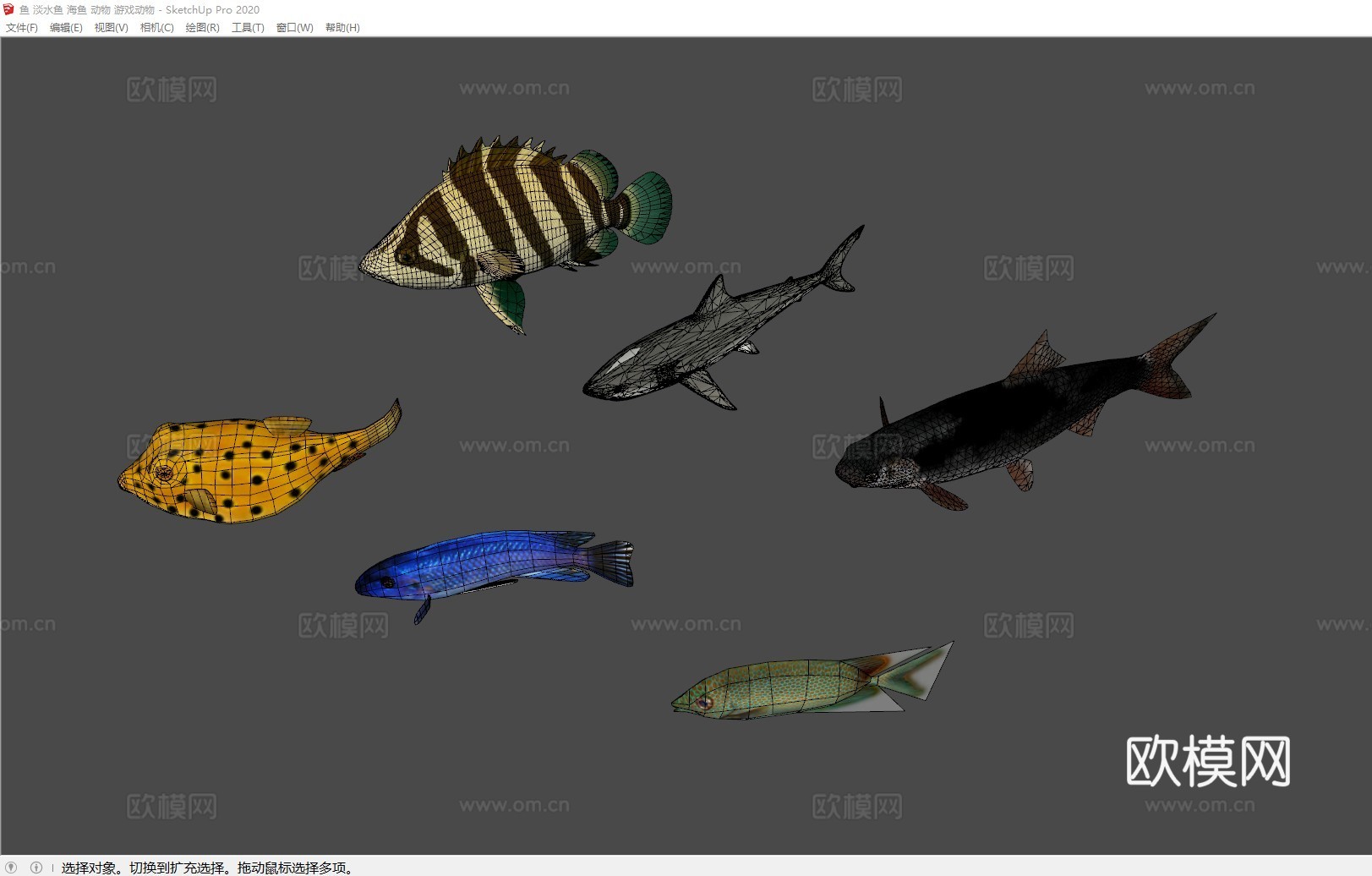 鱼 淡水鱼 海鱼 动物 游戏动物3d模型