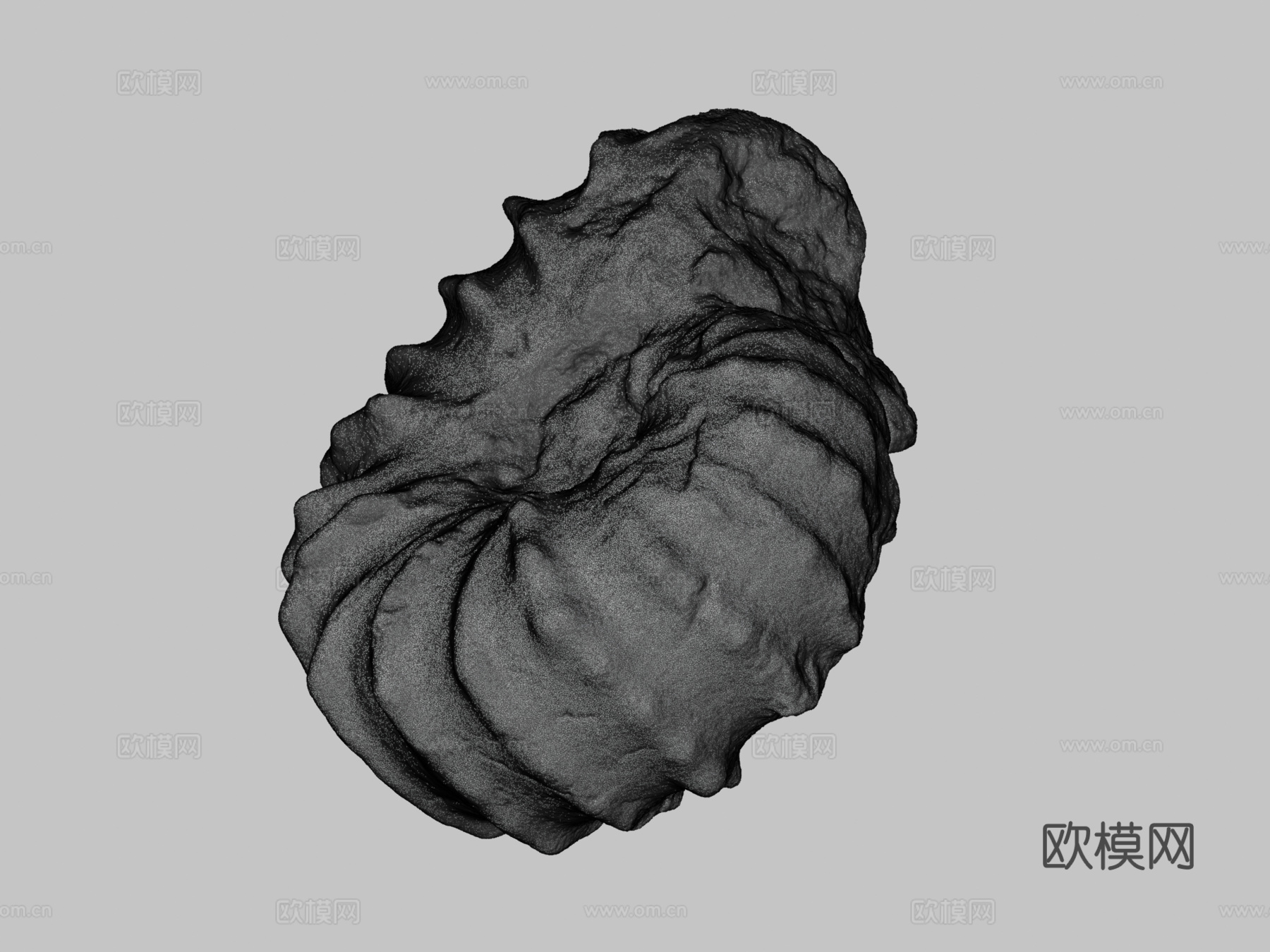 罗托马根刺角菊石3d模型