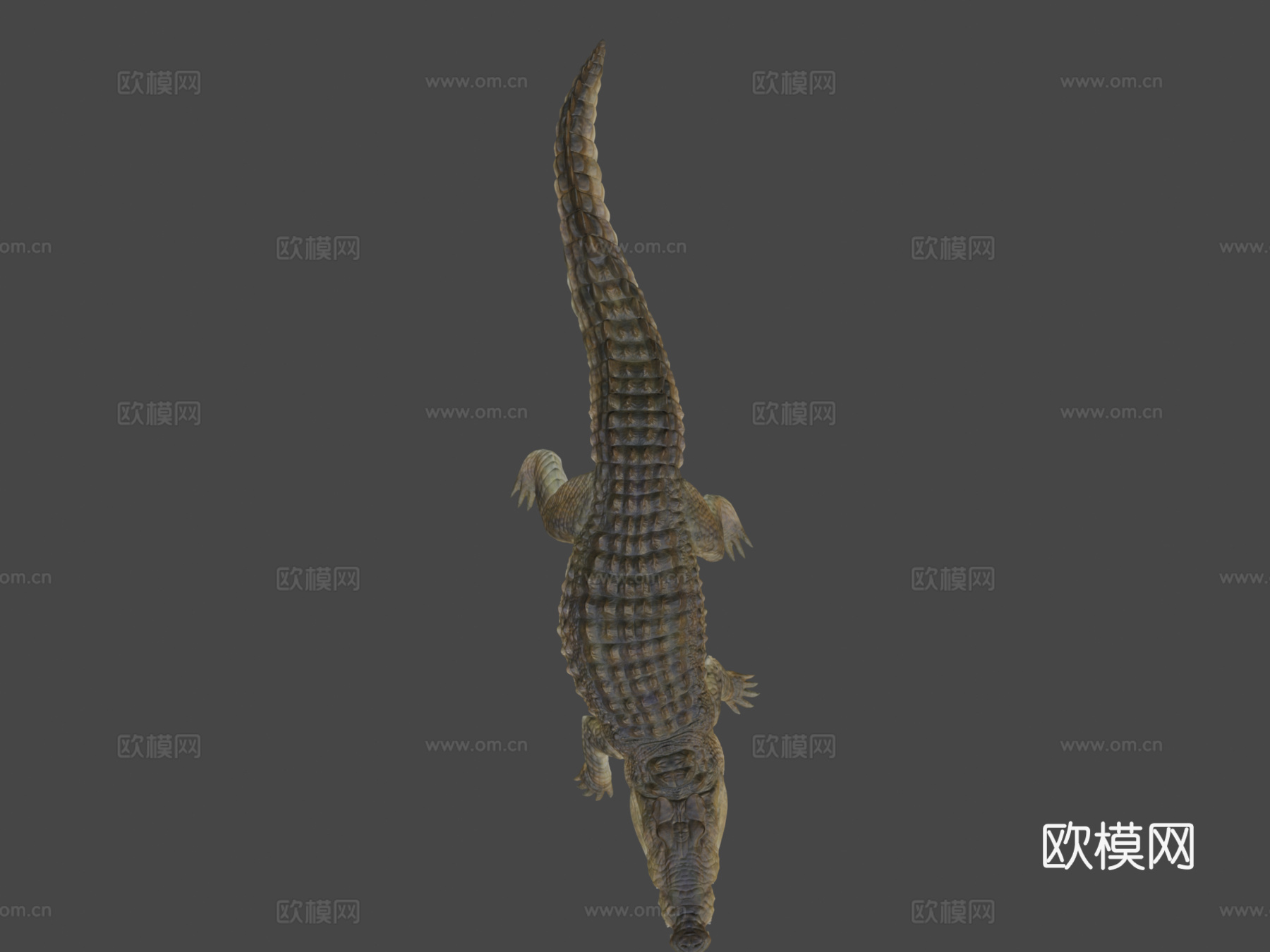 卡普罗鳄3d模型