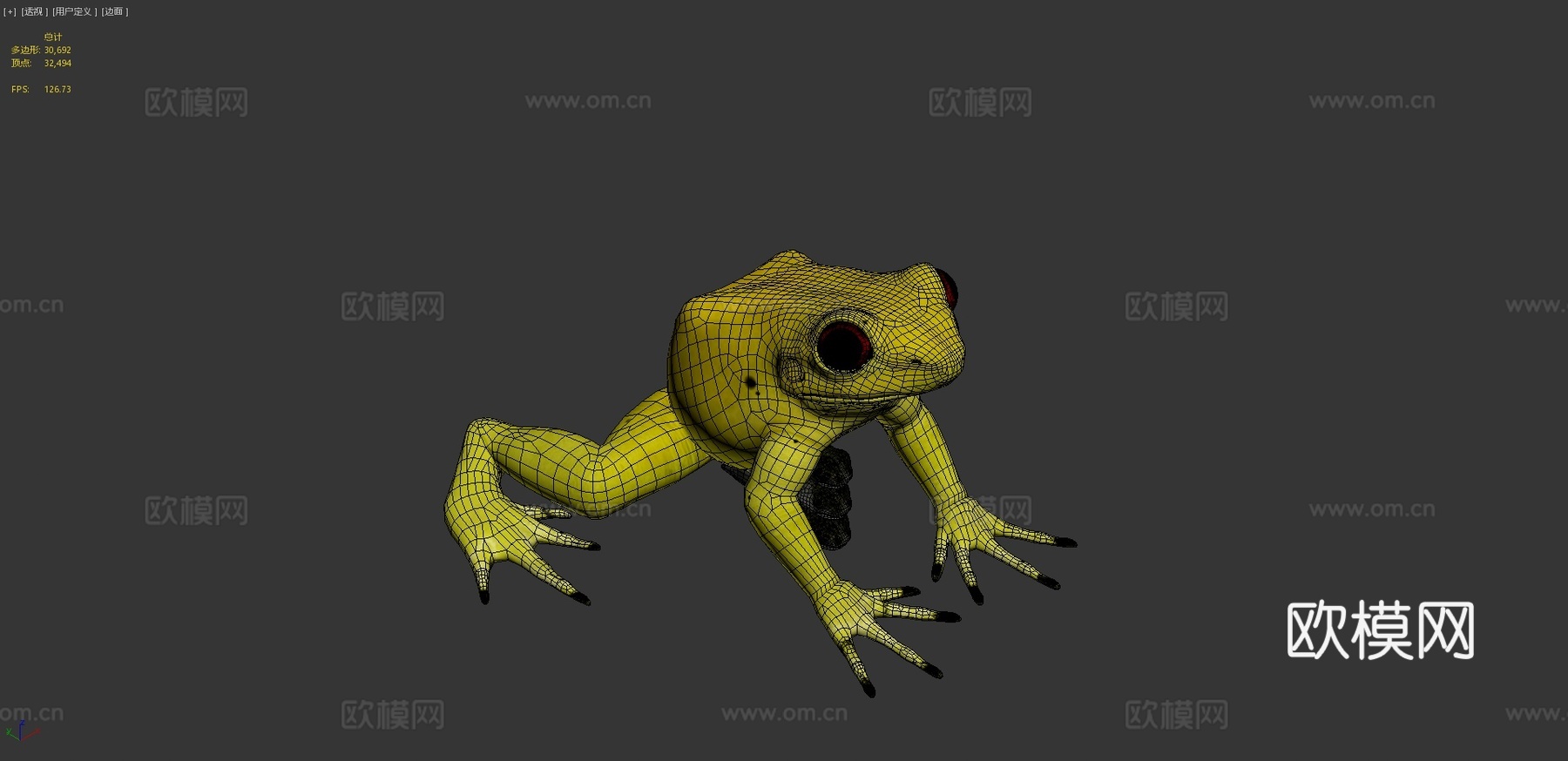 金色箭毒蛙3d模型