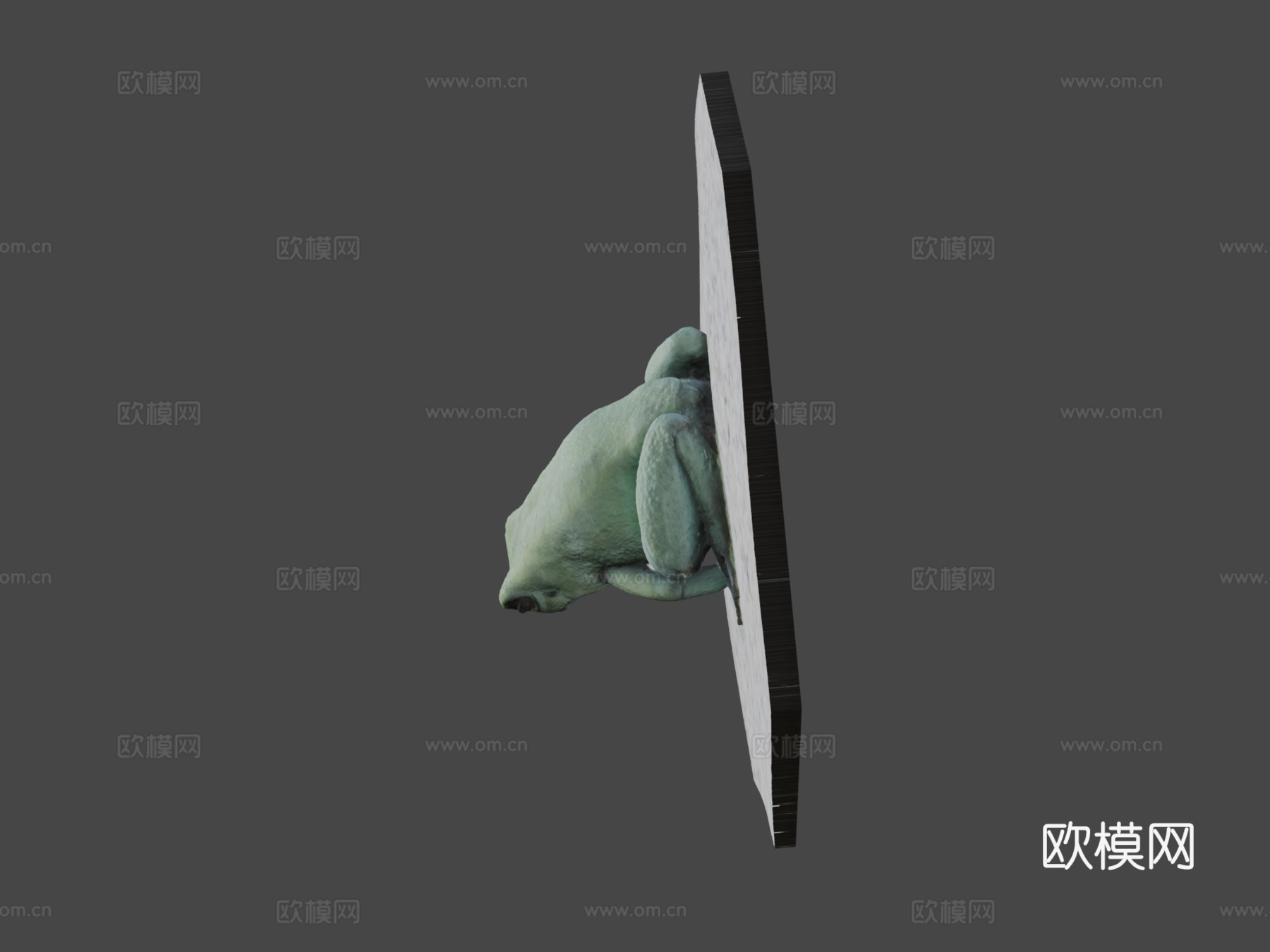 模型41-金色箭毒蛙，薄荷变种3d模型