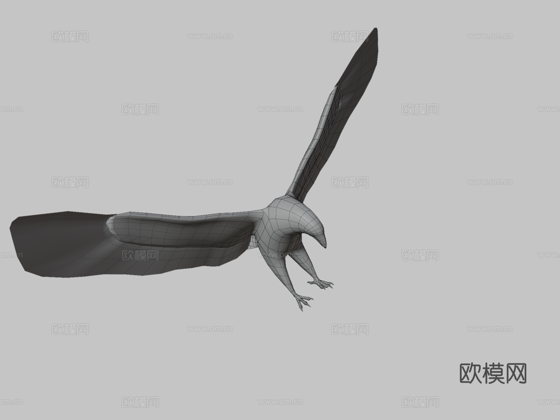 白头鹰3d模型