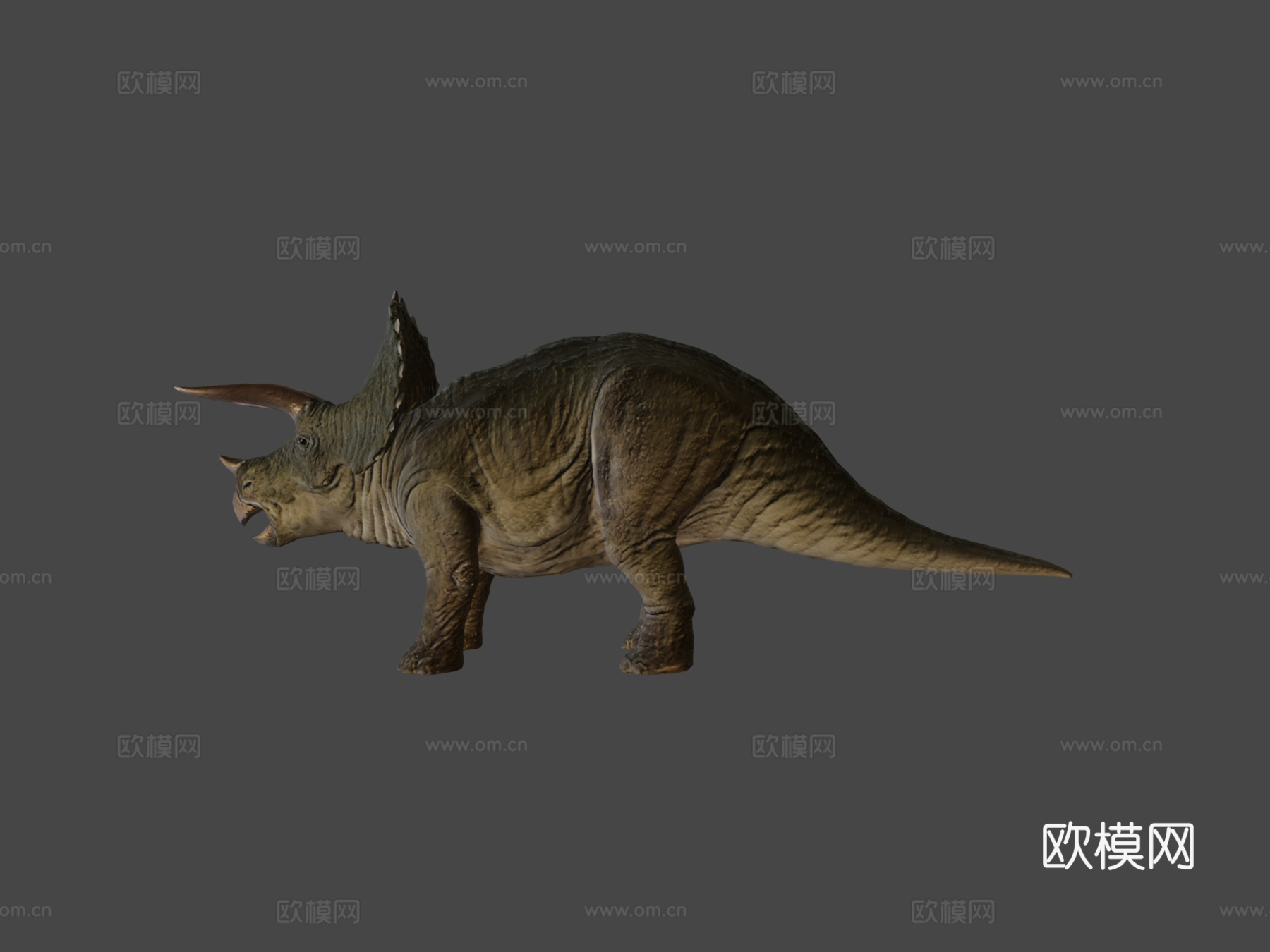 三角龙3d模型