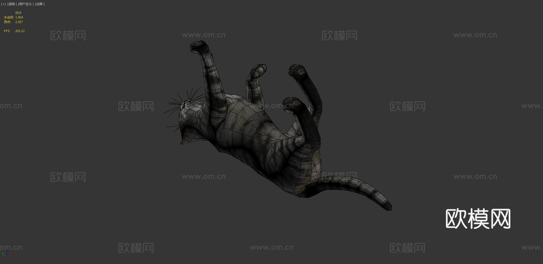 猫-行走动画3d模型