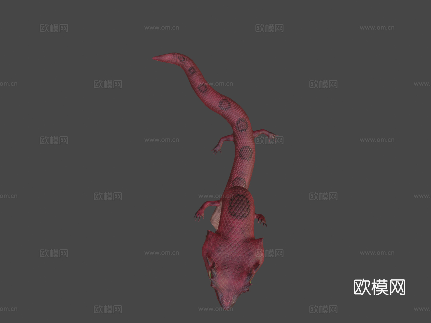 红色蜥蜴3d模型