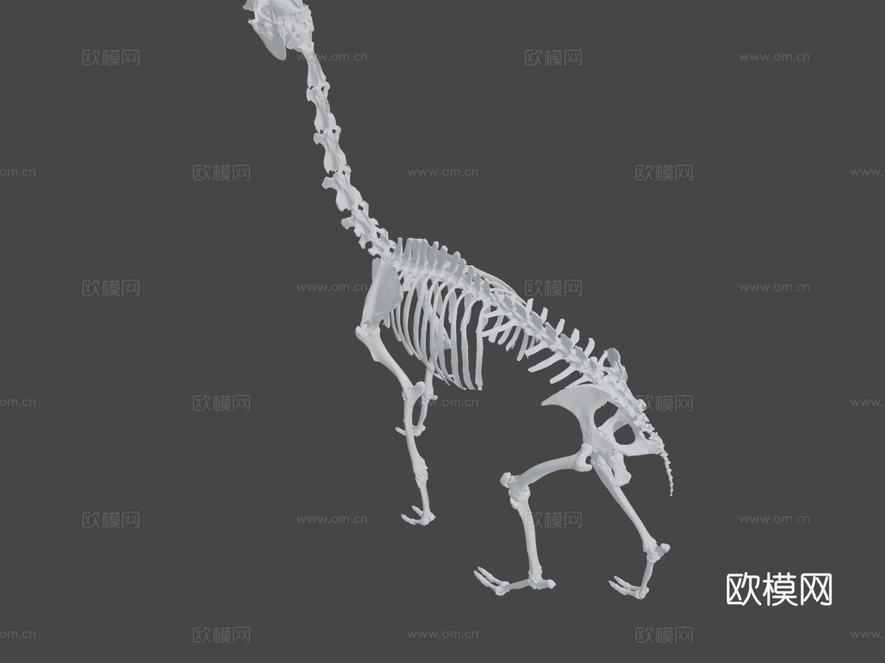 大羊驼3d模型