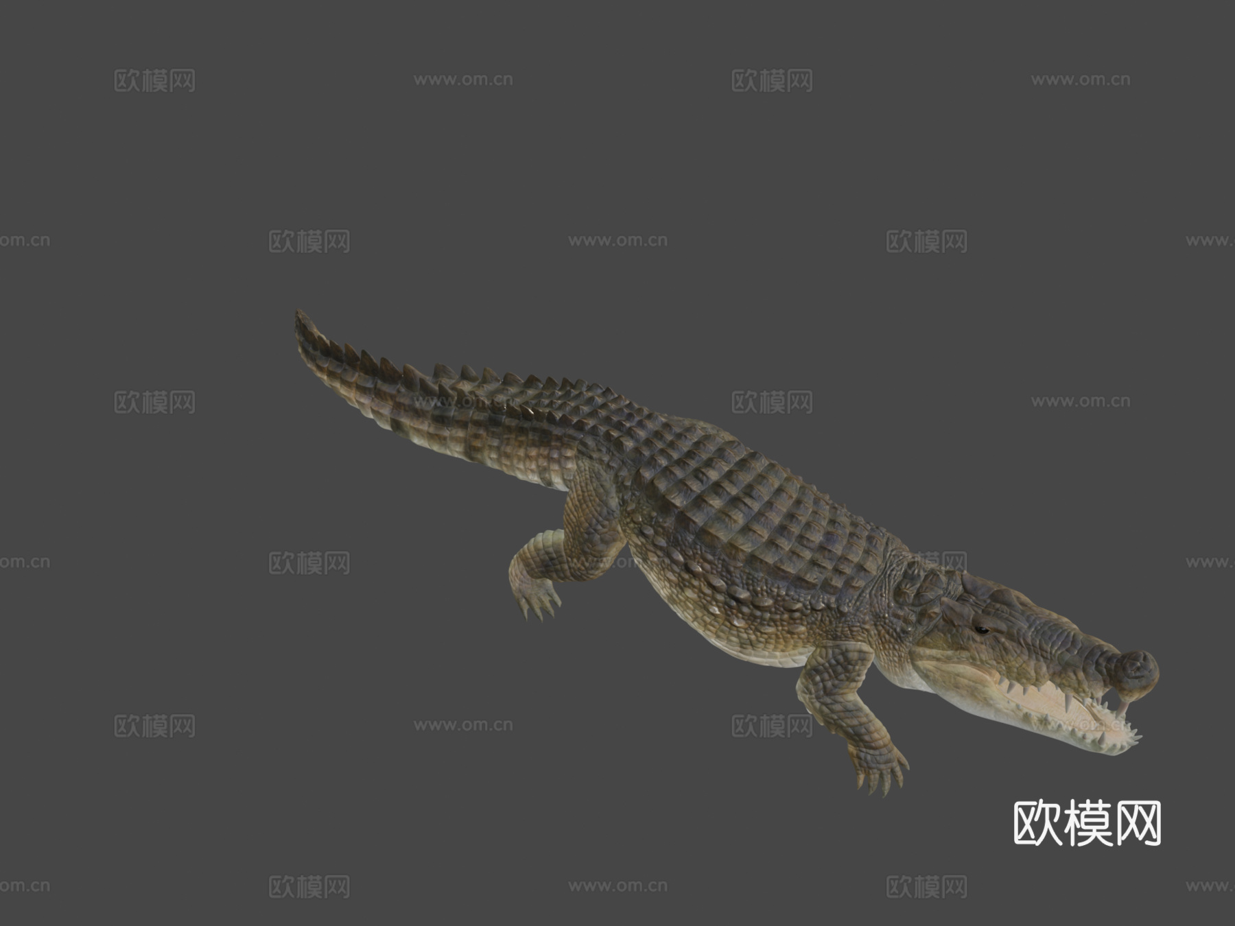 卡普罗鳄3d模型