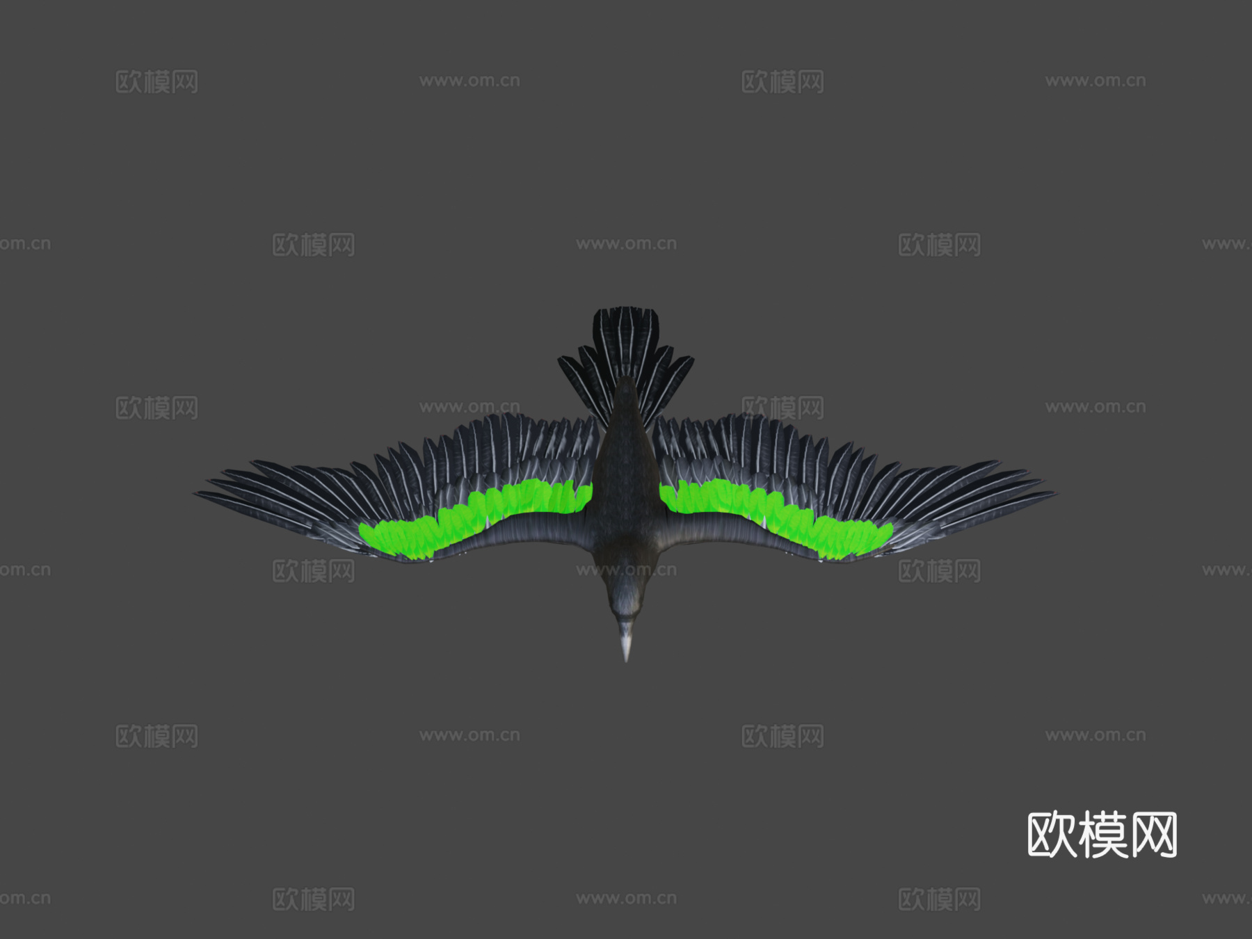 乌鸦_绑定动画3d模型