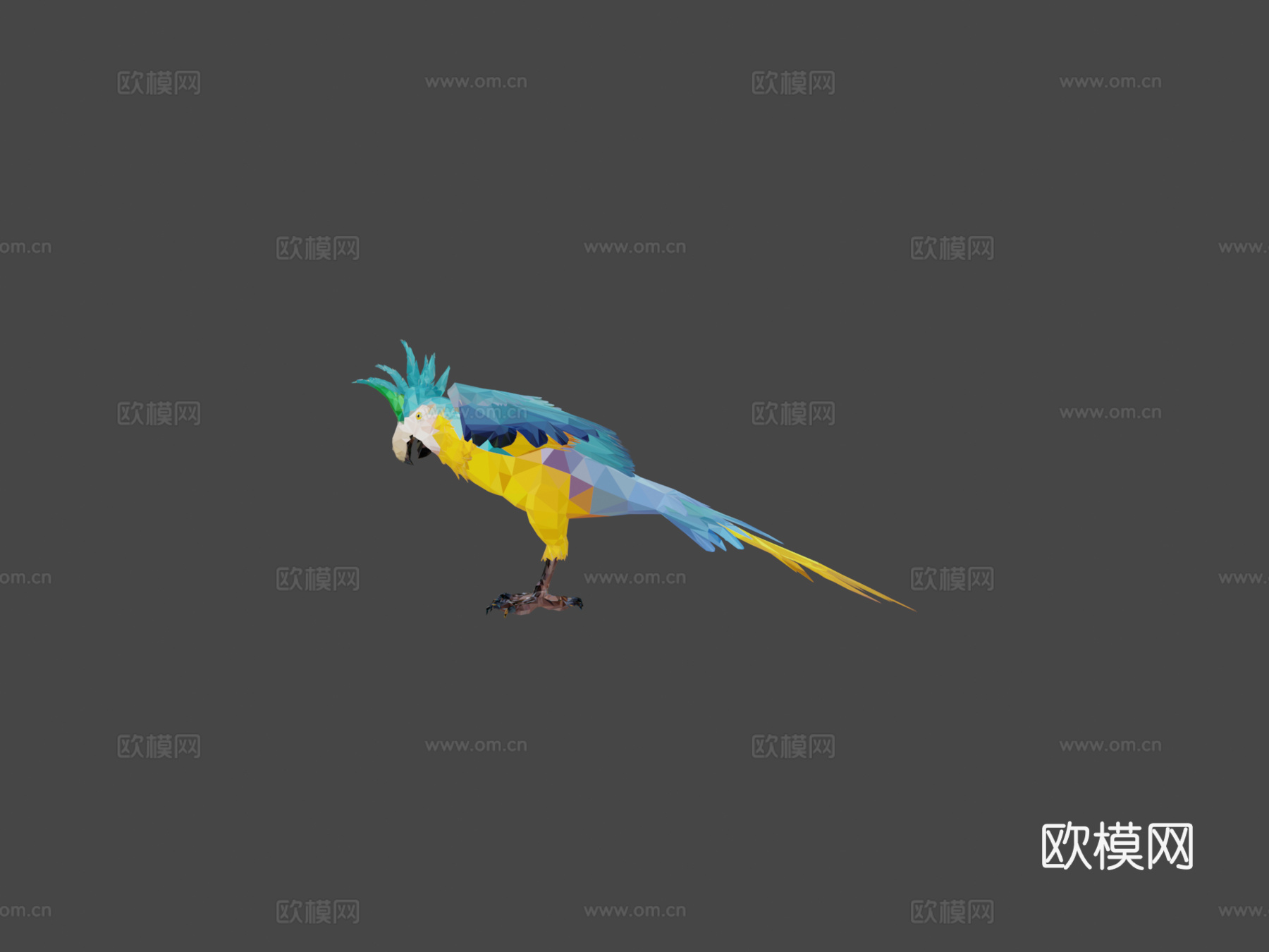 低多边形艺术蓝色鹦鹉鸟3d模型