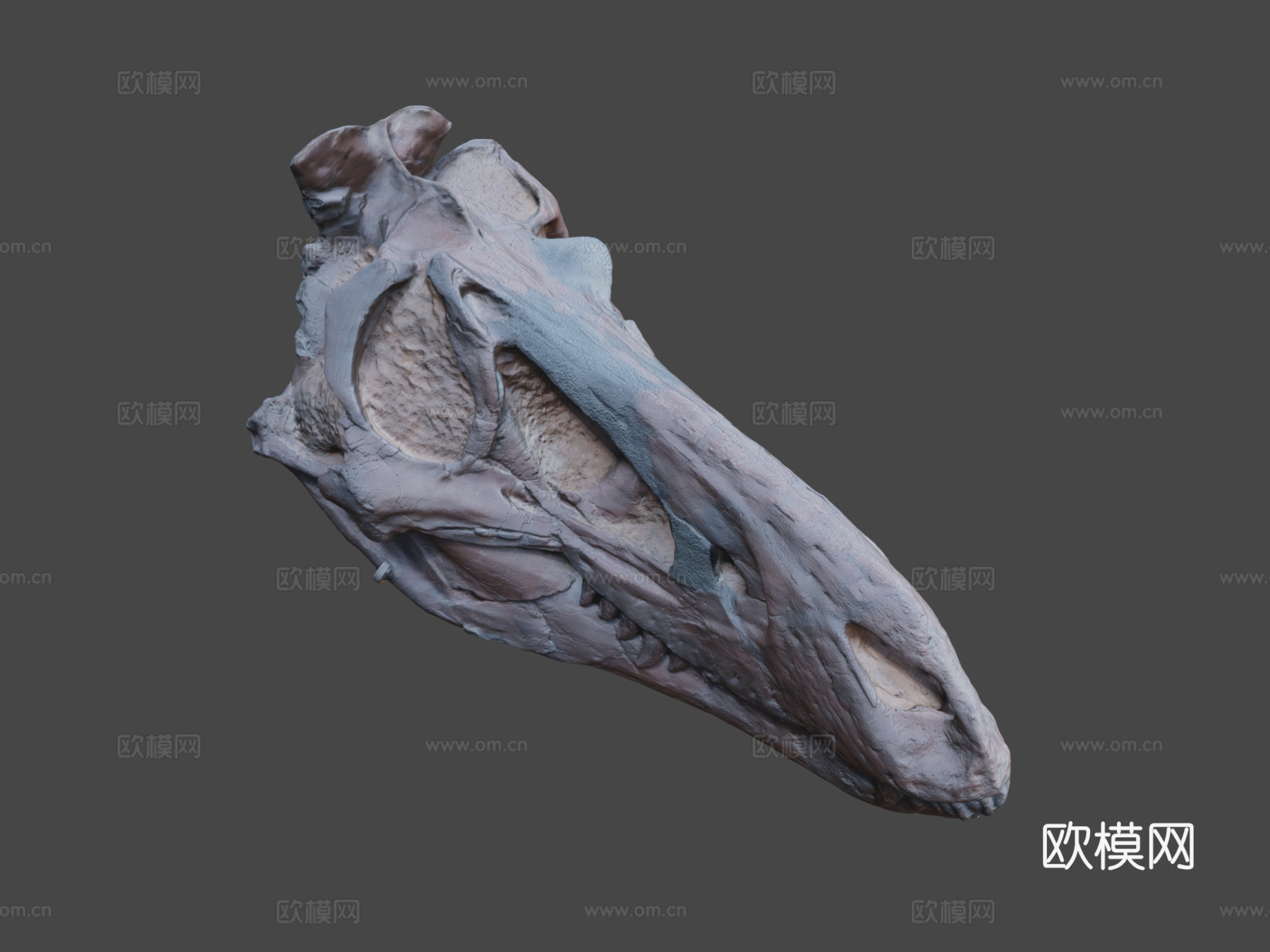 矮暴龙3d模型