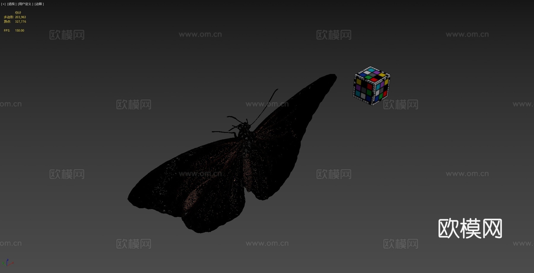 CC0黑脉金斑蝶?普通虎斑蝶3d模型