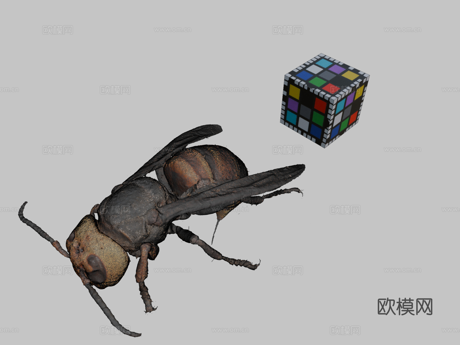 CC0日本大黄蜂?3d模型