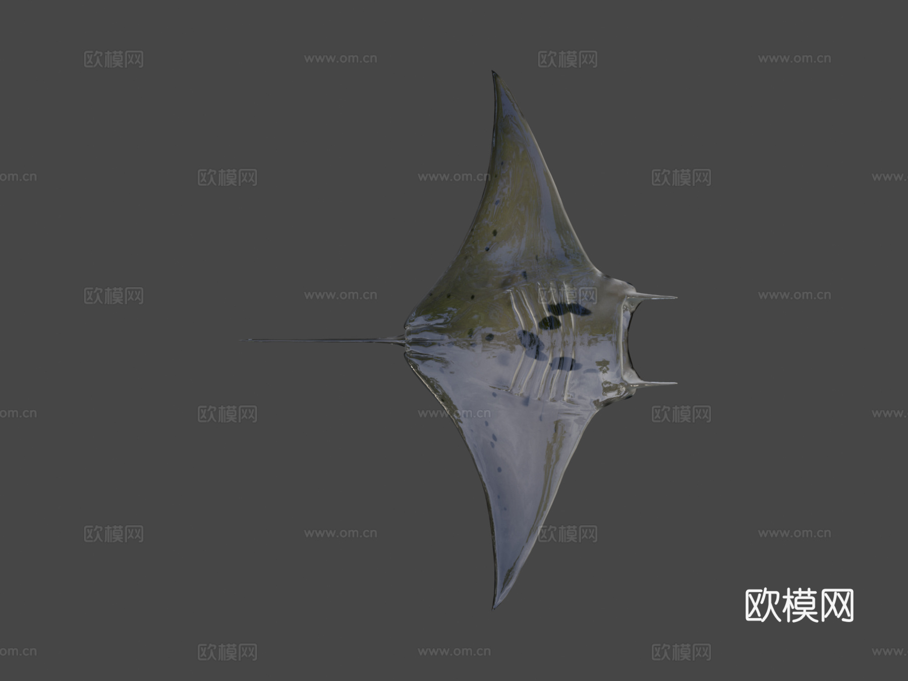 蝠鲼3d模型