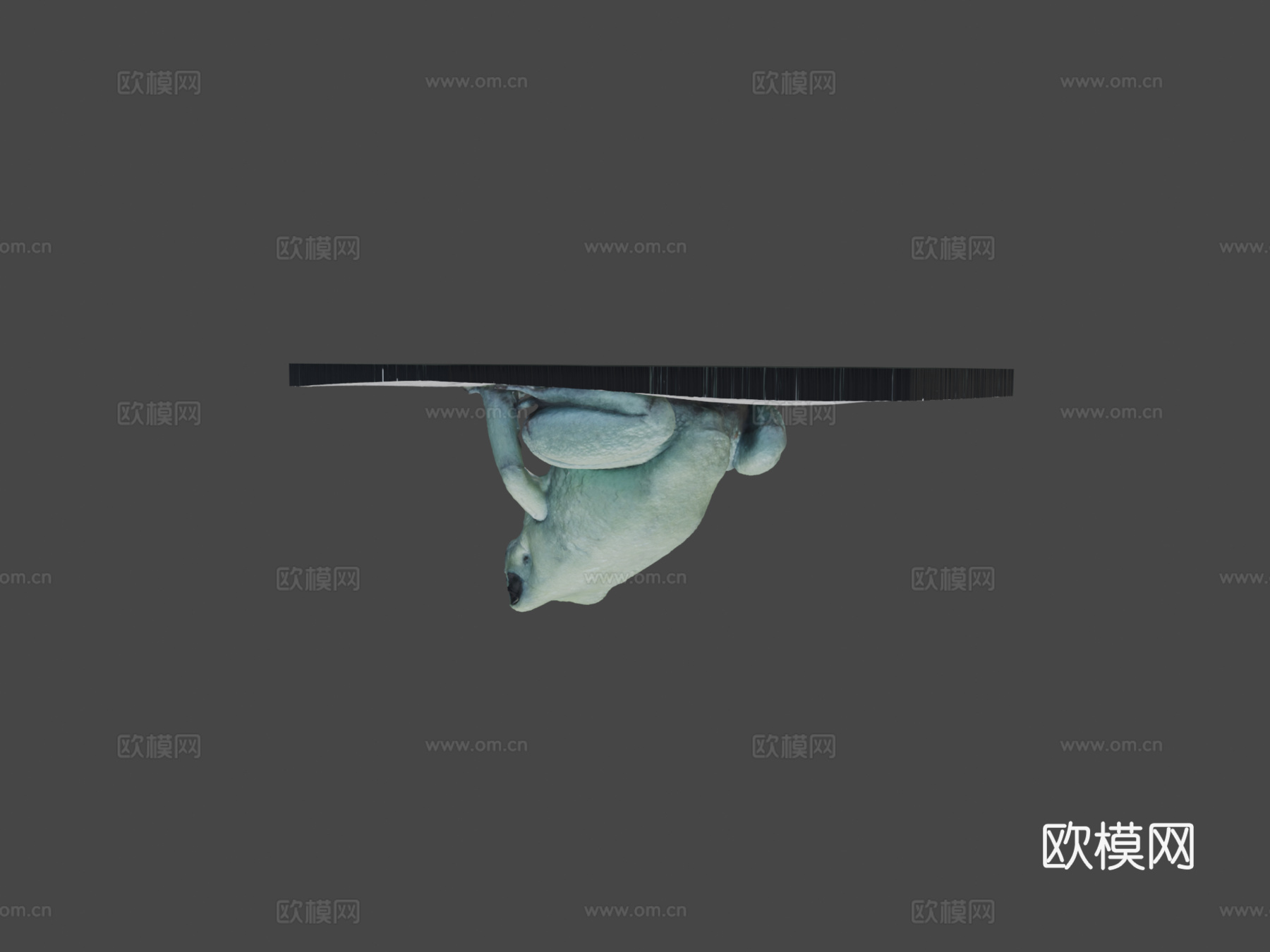 模型41-金色箭毒蛙，薄荷变种3d模型