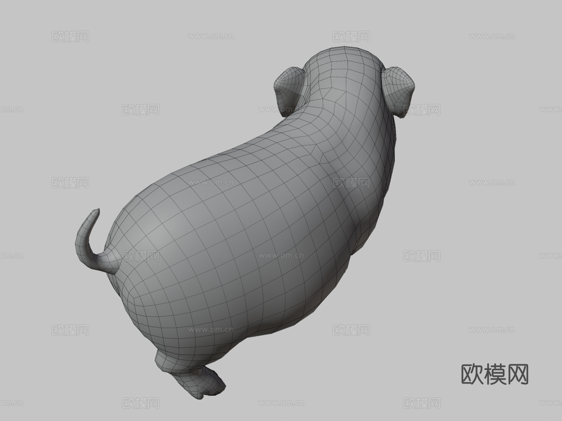 迷你小猪3d模型