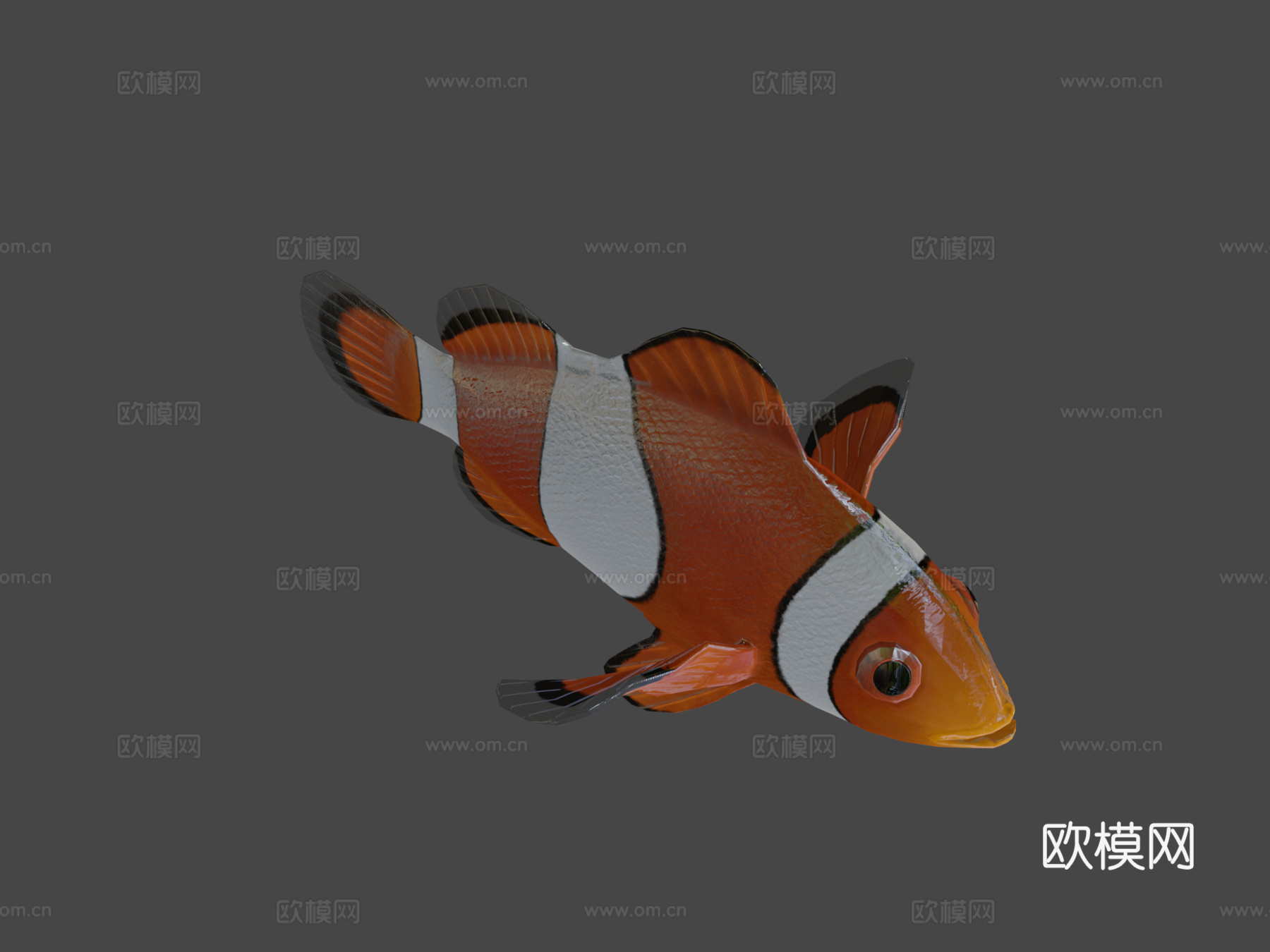 海葵鱼小丑鱼绑定3d模型