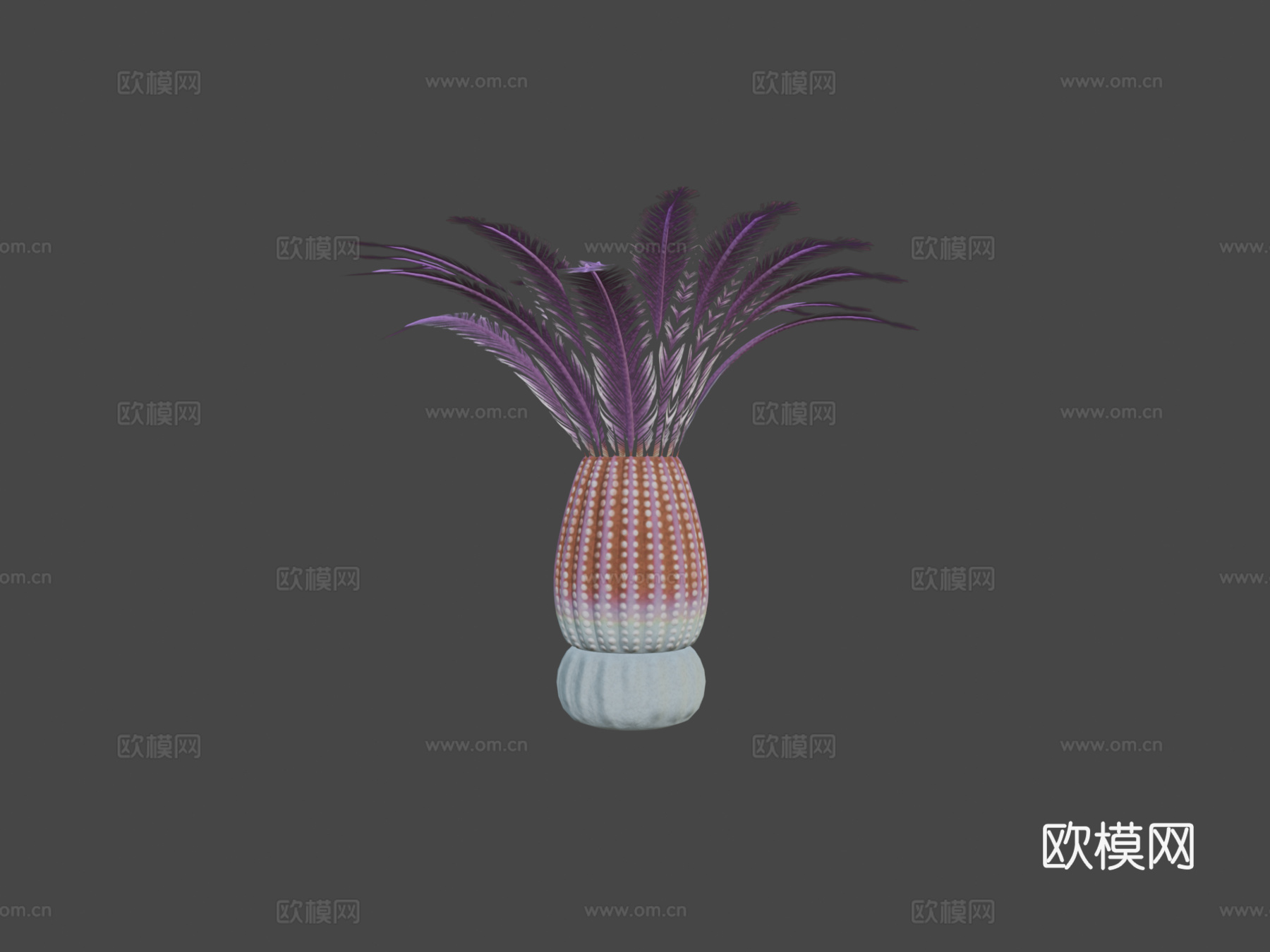 中华仙光鱼3d模型